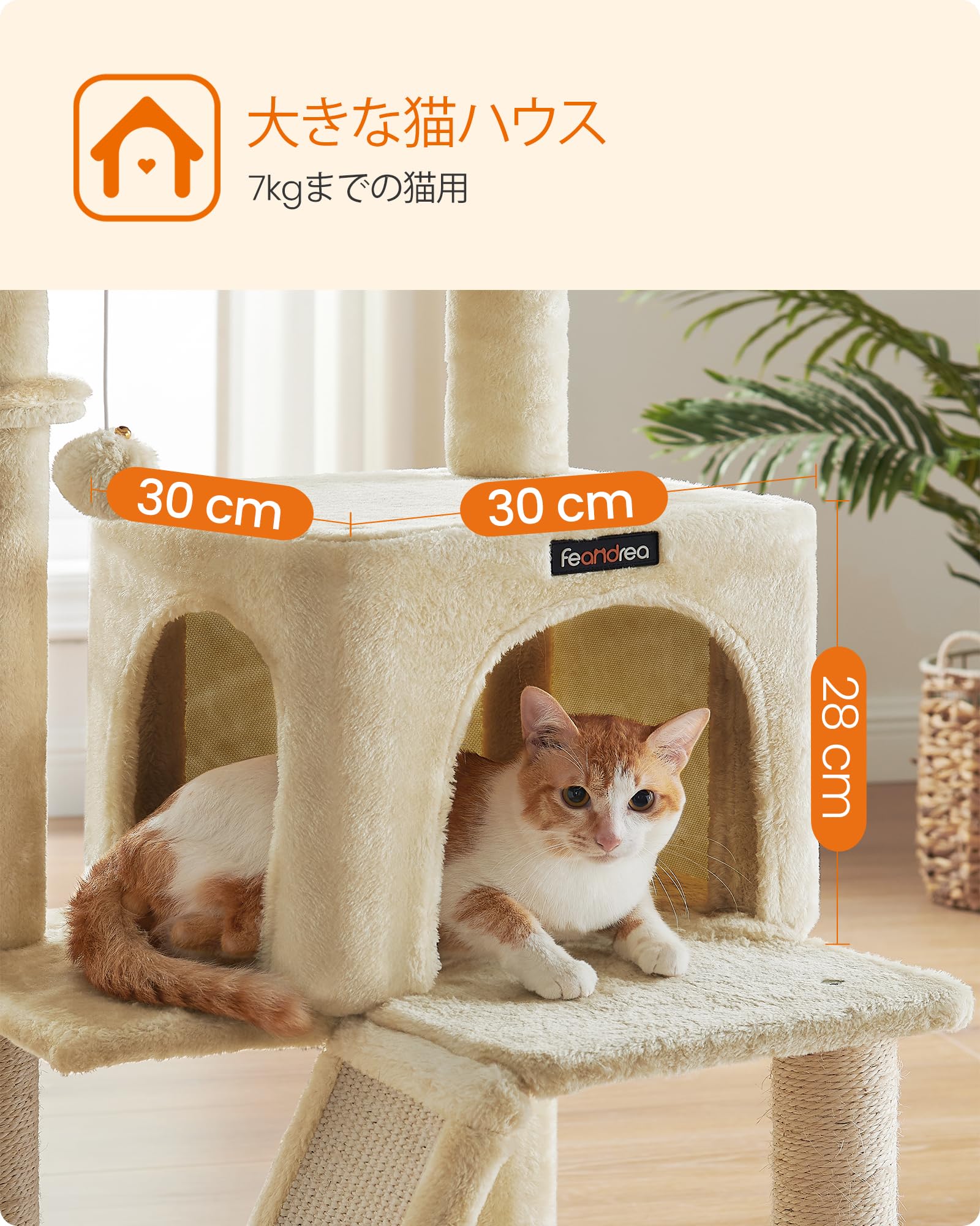 Amazon | FEANDREA キャットタワー 大型猫 ハンモック耐荷重10KG 猫