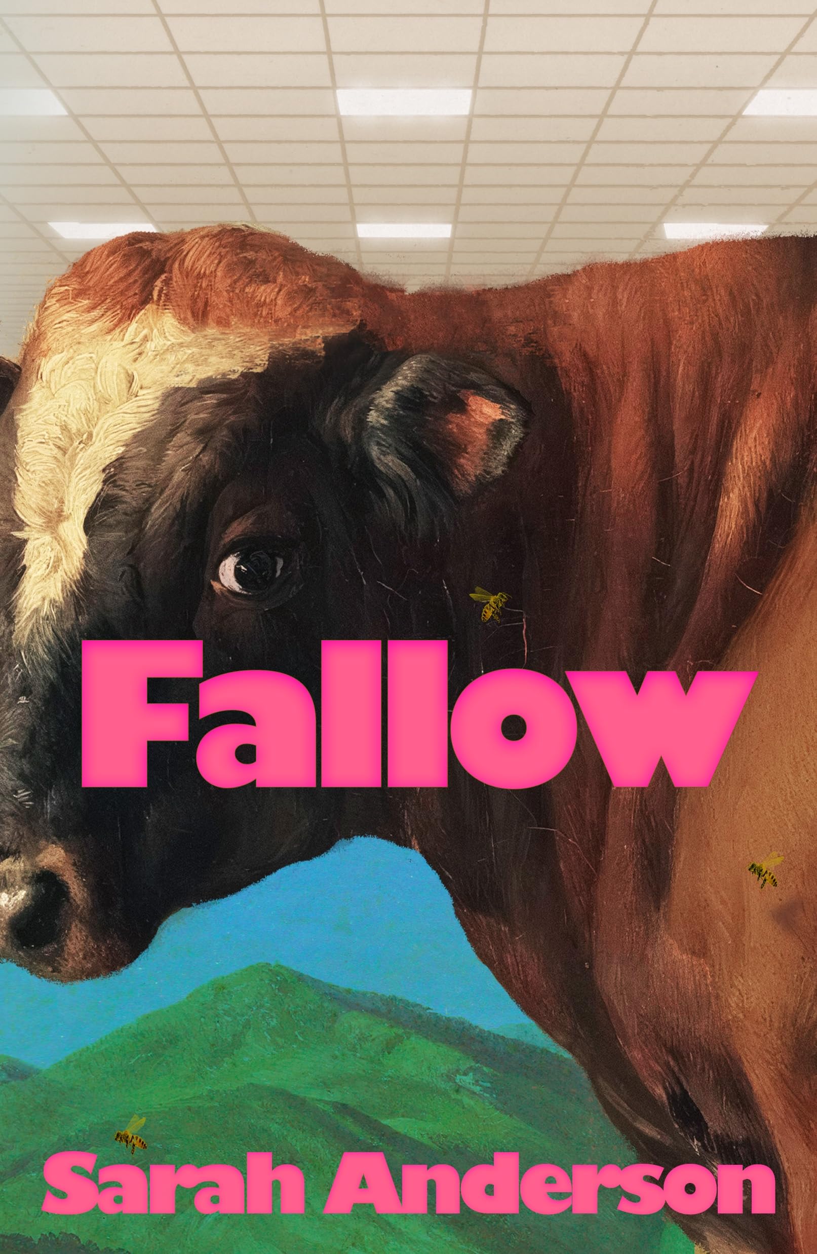 Fallow