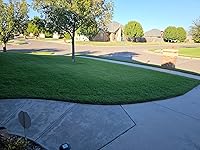 Review Image by Lynn Costa Lynn Costa