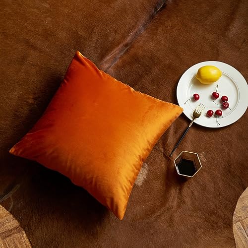 Miniatura 6 de Juego de 4 fundas de almohada de 18 x 18 pulgadas, fundas de cojín decorativas de terciopelo suave, fundas cuadradas para sofá, hogar, sala de estar