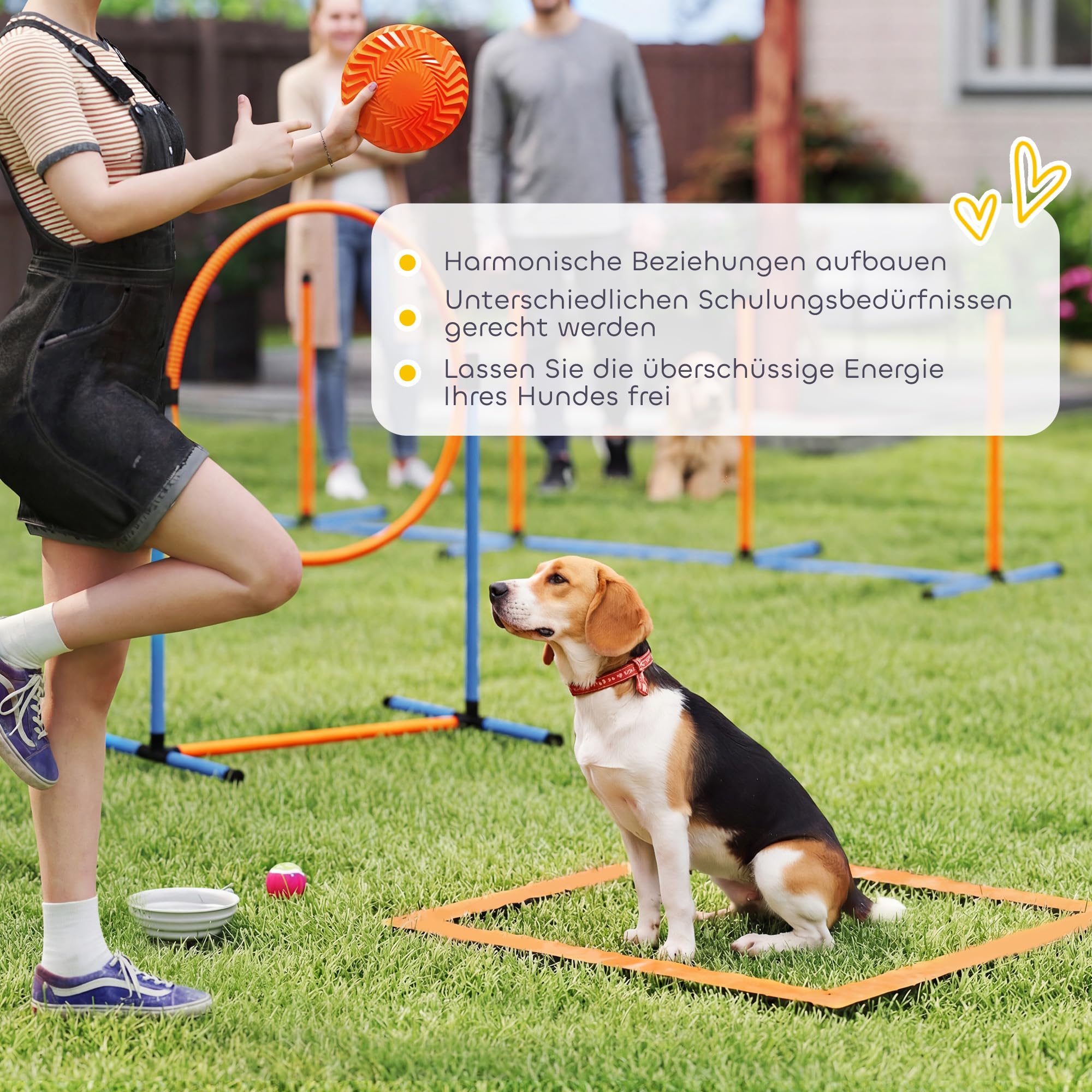 PawHut 11-teiliges Set Agility-Ausrüstung für Hunde Höhenverstellbar | 2 Tunnel, Sprungring & Hürden, Slalomstangen, Pause-Box, Tragetasche, Ball, Steckhürdenset, für Hundetraining
