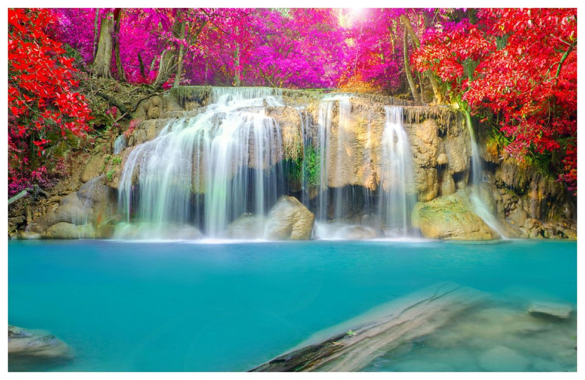 Sticker Studio Beauty of Nature Wall Poster & Wall Sticker (PVC Vinyl,Size -36 x 24 Inch)