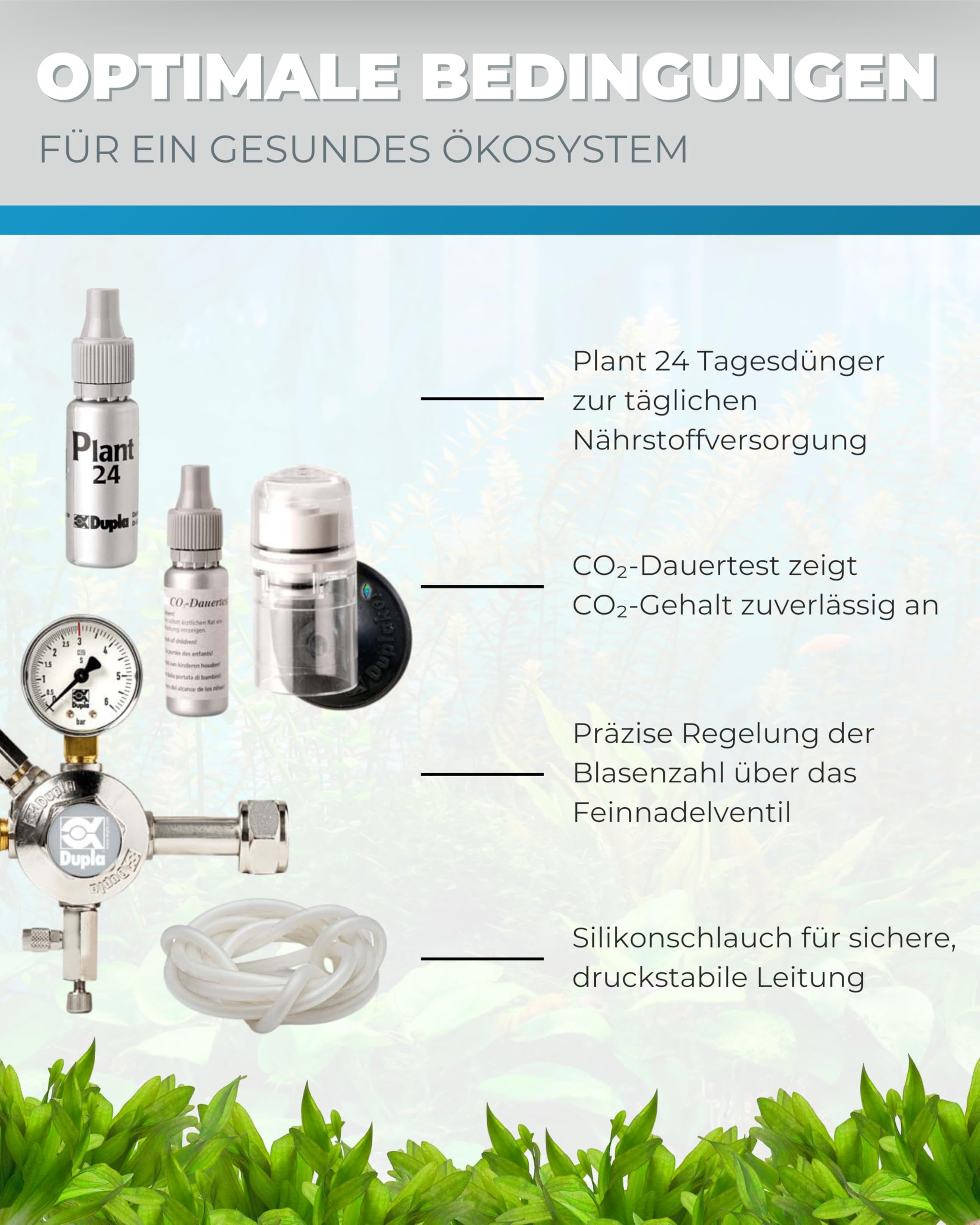 Dupla Profi CO2-Set 250 I Professionelles CO2-System für Aquarien bis 250 l I Präzise CO2-Anlage mit Armatur Pro, Zerstäuber, Dauertest, Silikonschlauch und Plant 24 Dünger