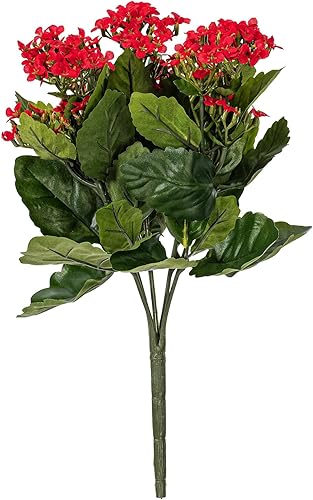 Miniatura 7 de Vickerman Arbusto Kanachoe artificial rojo de 15 pulgadas de largo  Decoración floral sintética de alta calidad para bodas o arreglos diarios