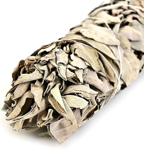 Miniatura 3 de Salvia blanca California extragrande, aproximadamente 8.5 pulgadas de largo y 2 pulgadas de ancho para rituales de manchas, limpieza de energía,