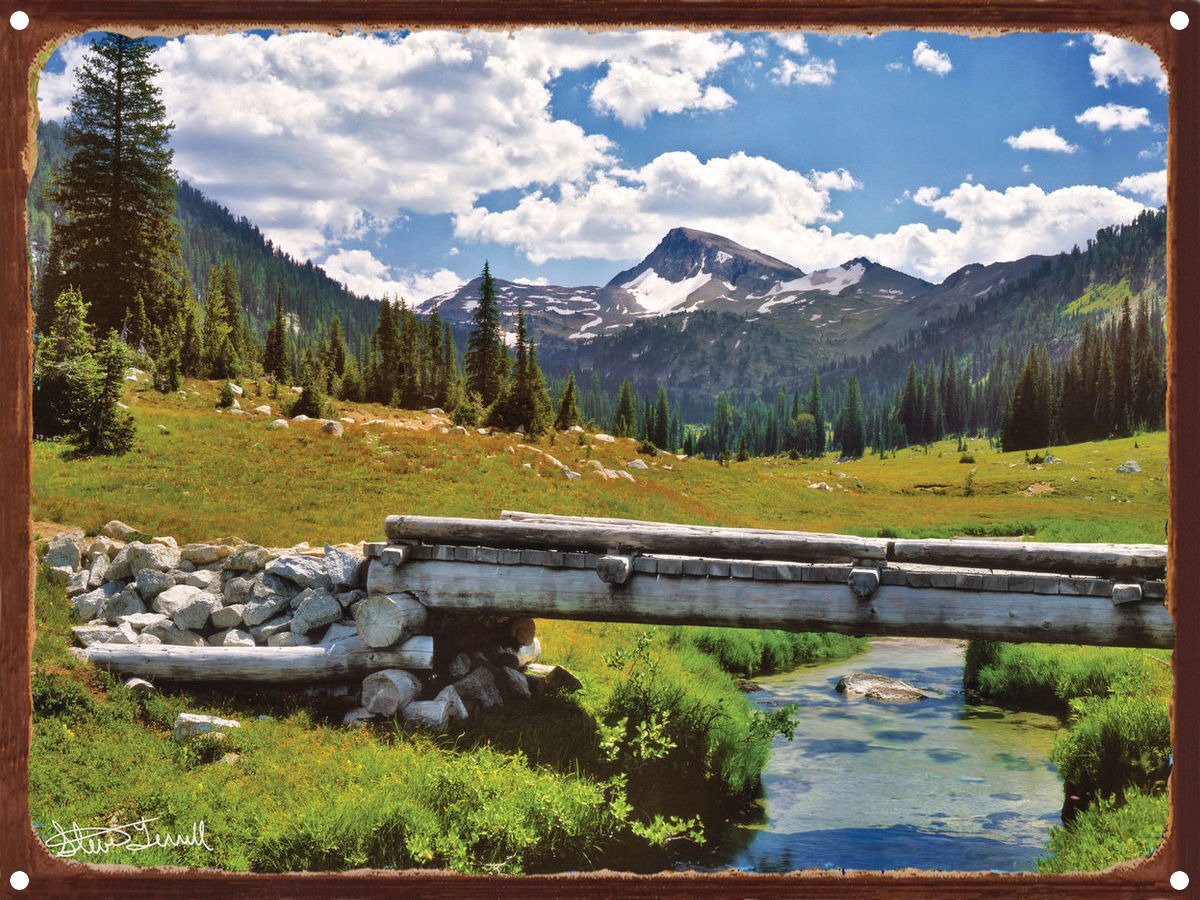 Footbridge Over Lostine Creek, Eagle Cap Wilderness Oregon Rustic Metal Art Print from Photograph by Steve Terrill 8.5" x 11.5"