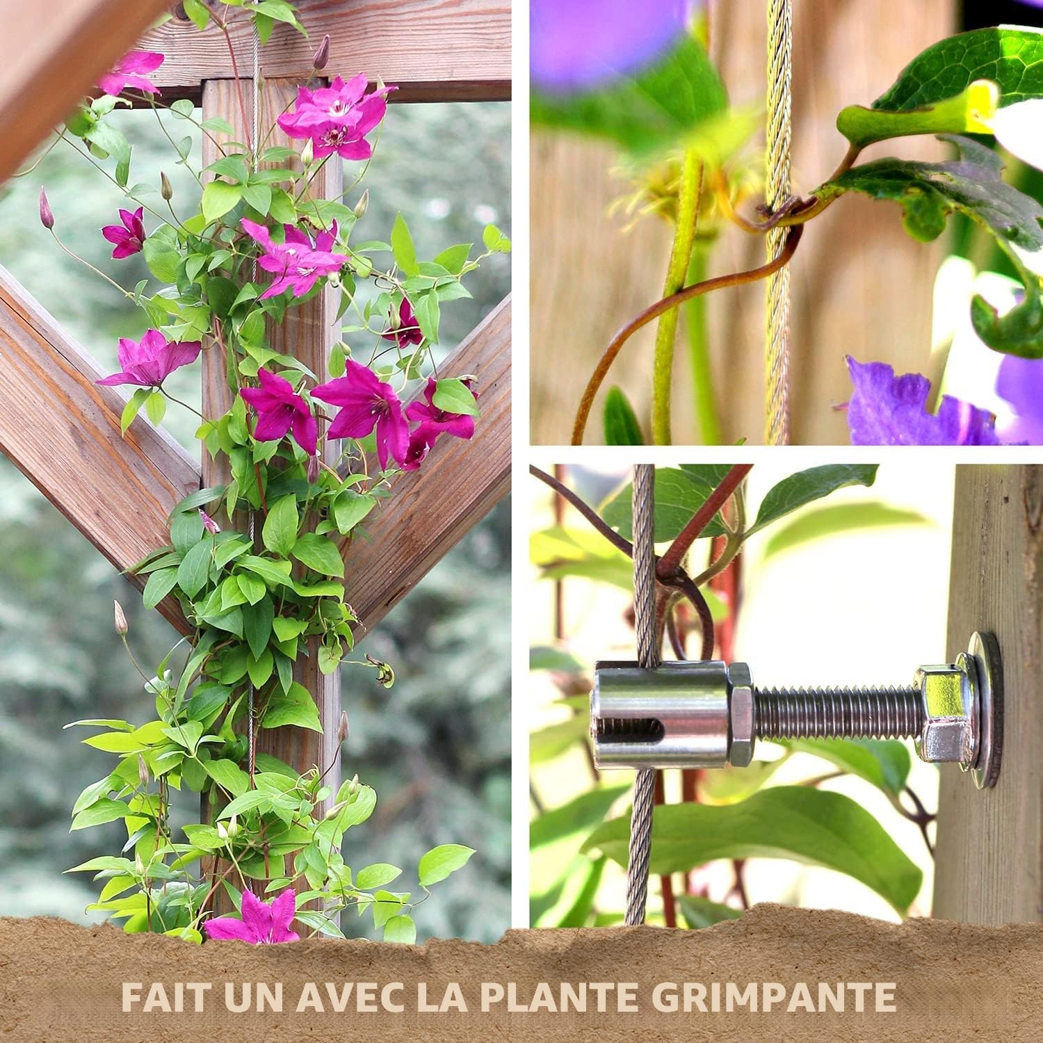 Support pour Plantes grimpantes, kit Complet en Acier Inoxydable avec Supports muraux et Corde de 3 mm (4 Supports, 6m de Corde)