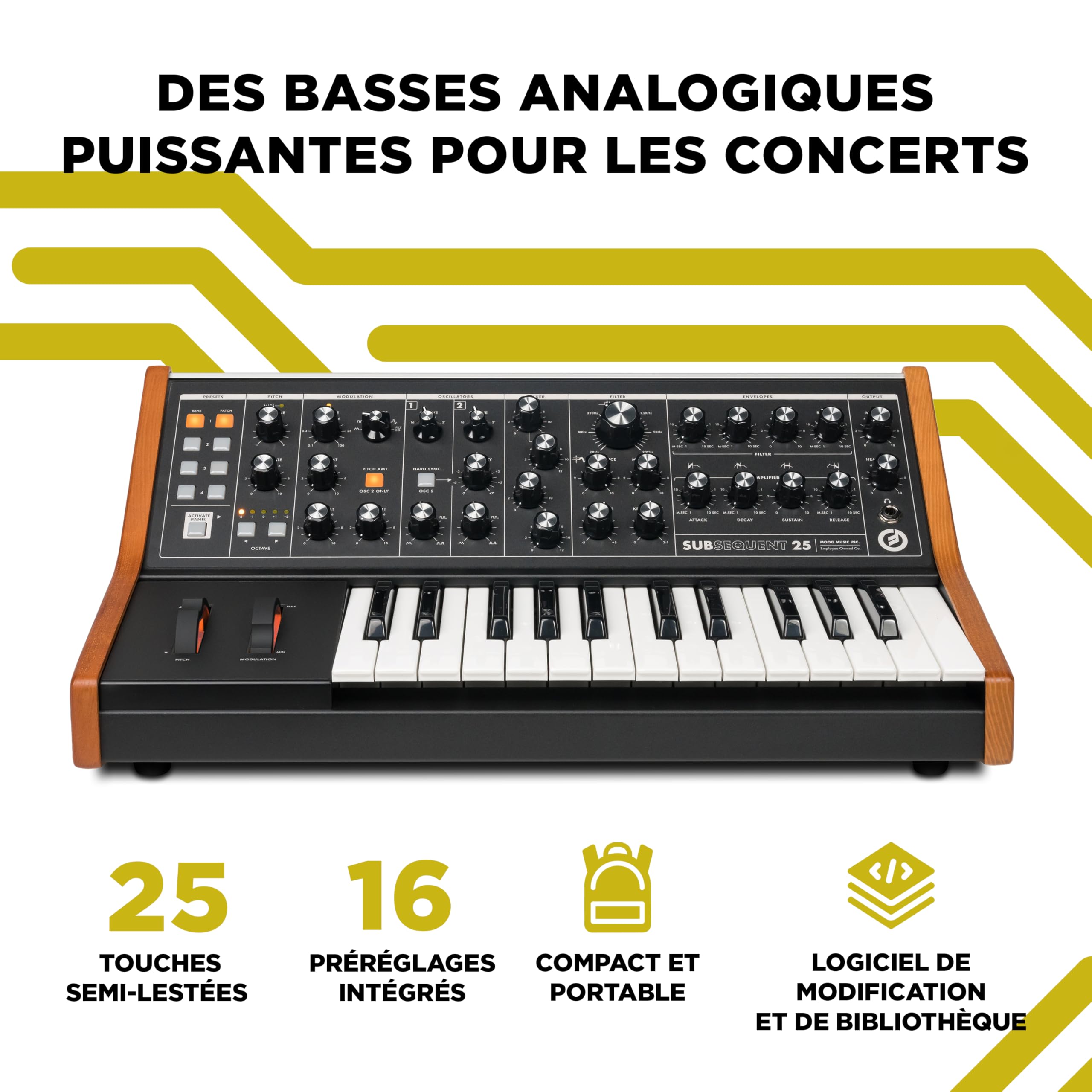 MOOG Subsequent 25 Paraphonic Analog Synthesizer and 25-Key MIDI