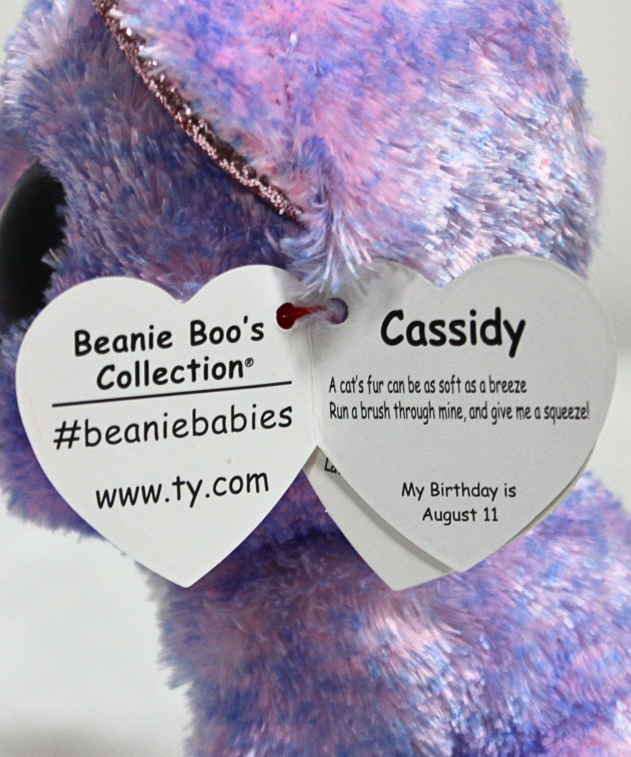 Amazon.com: TY 2007521 Cassidy Cat Beanie Boo Stuffed Animal