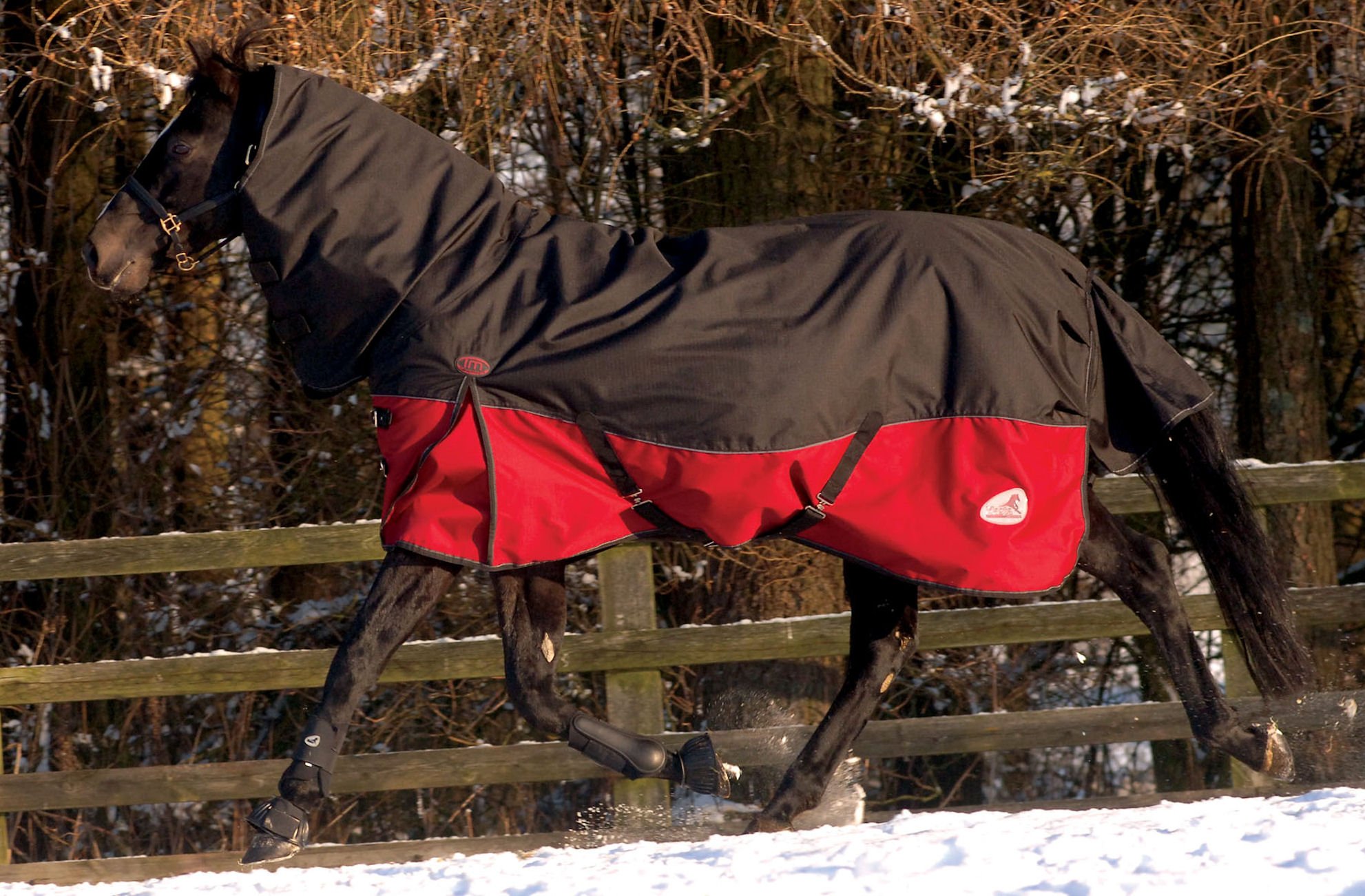 Masta Turnoutmasta 200g Fixed Neck 600 Denier Winter Mediumweight Turnout Rug