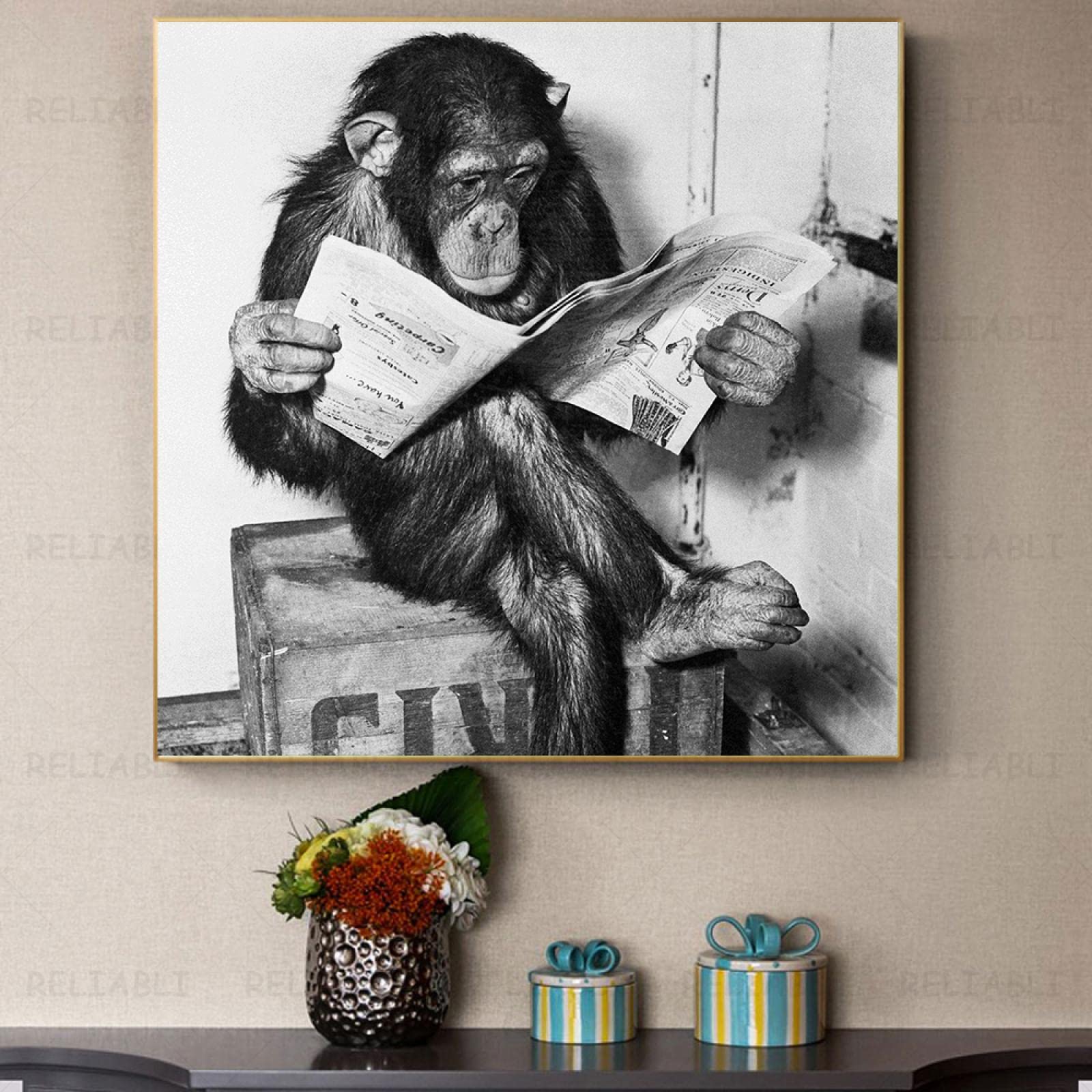 Monkey Reading A Book