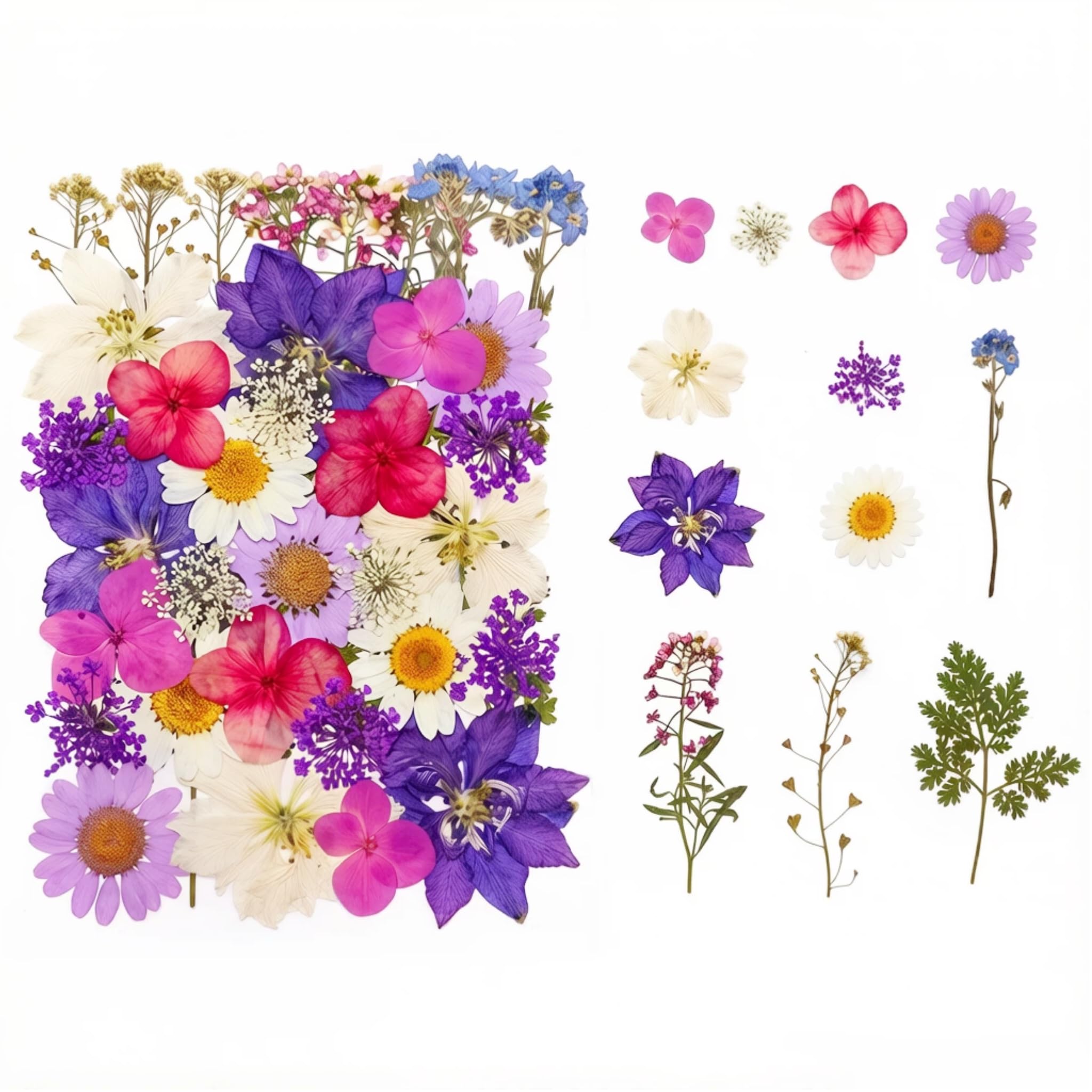 Satiskid 40pcs Wildflower Cake Toppers, Purple Dried Flowers Decor for Wedding, Birthday Party Cupcake Toppers DIY Crafts Bookmarks Scrapbooking Card Making