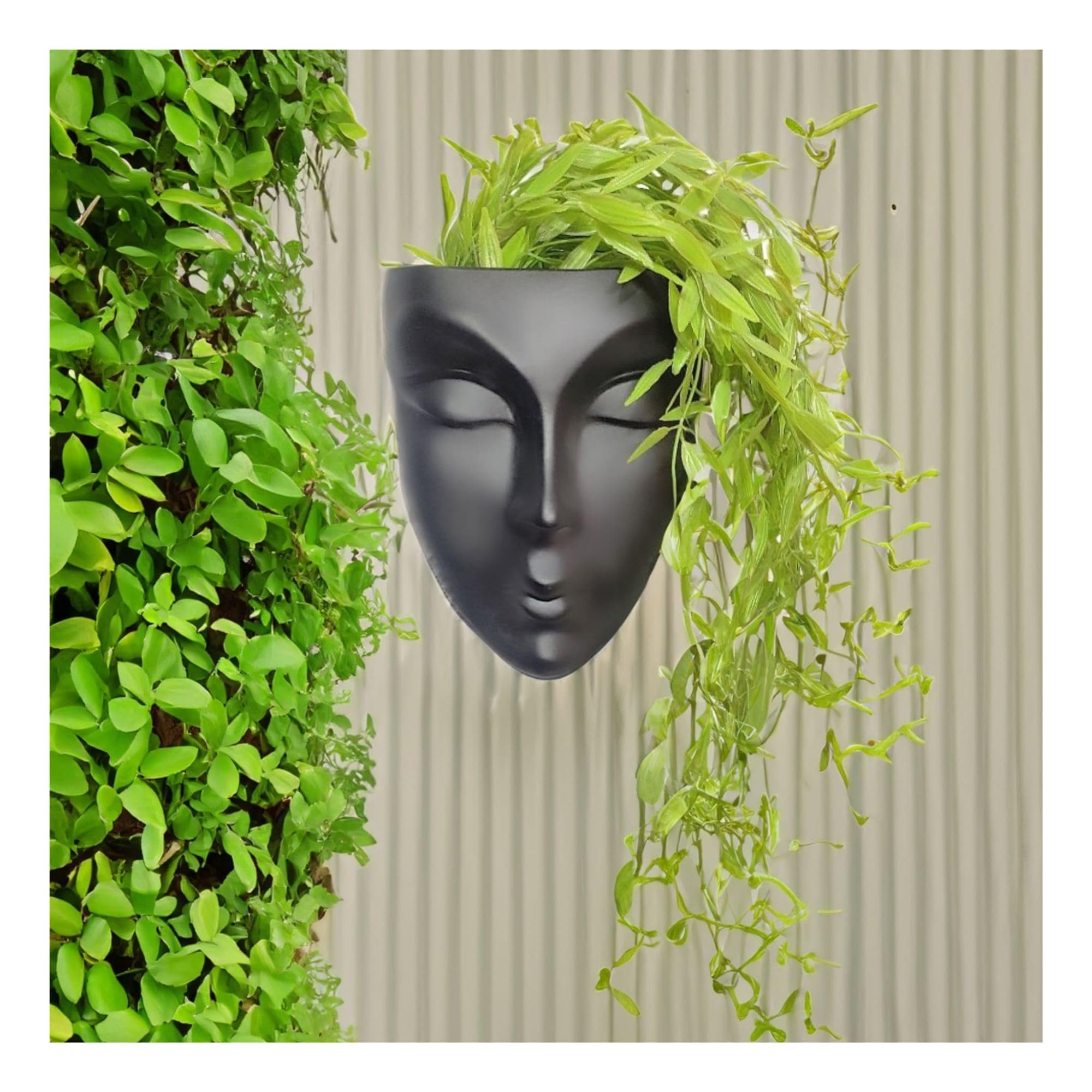 Wall Planter, Face Planter, Head Planter, Wall Hanging Planter for Home Decor and Balcony Decor for Indoor Outdoor (Black Matt Female Face Planter) (B0CTY6TSDC) Amazon Price History, Amazon Price Tracker