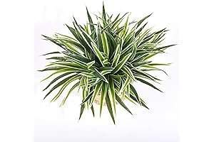 5PCS Artificial Spider Plants - A Home Oasis