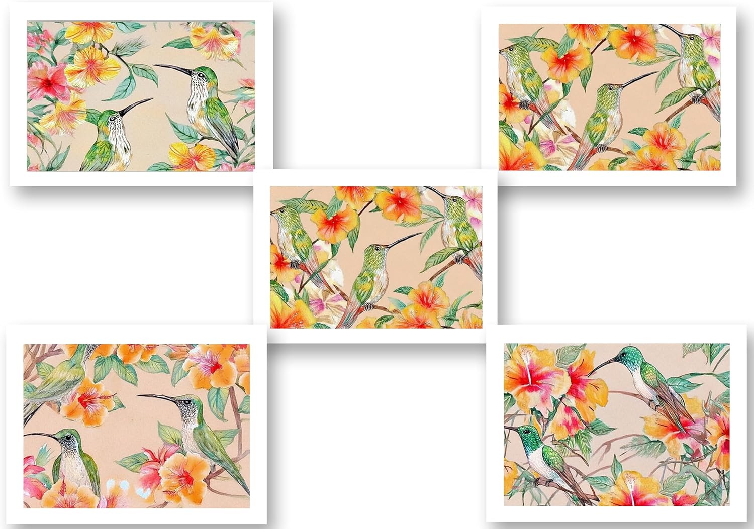 Watercolor Hummingbird Greeting Cards, 5x7 Blank Note Cards with Envelopes, Set of 10, Floral All Occasion Cards