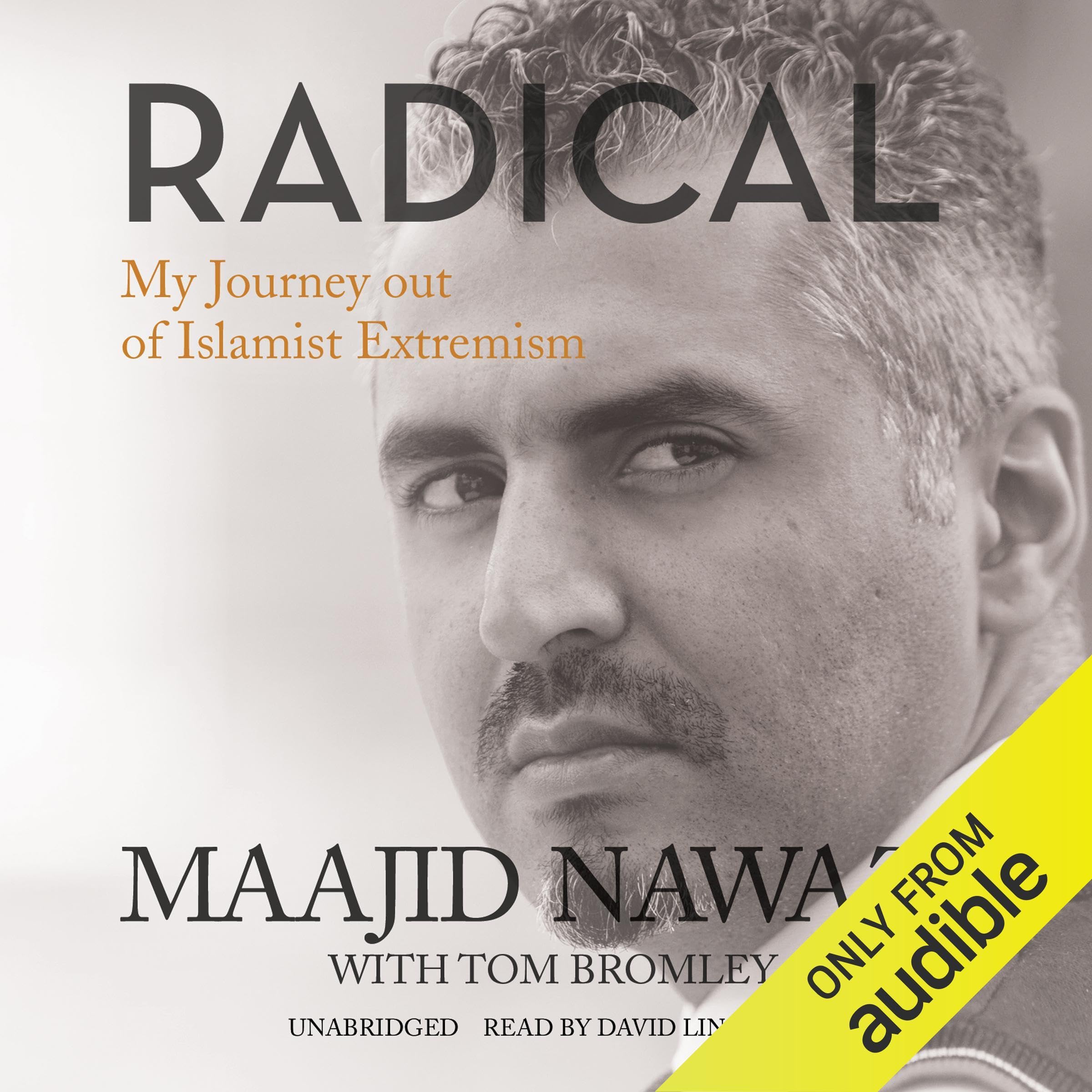 Cover art for Radical