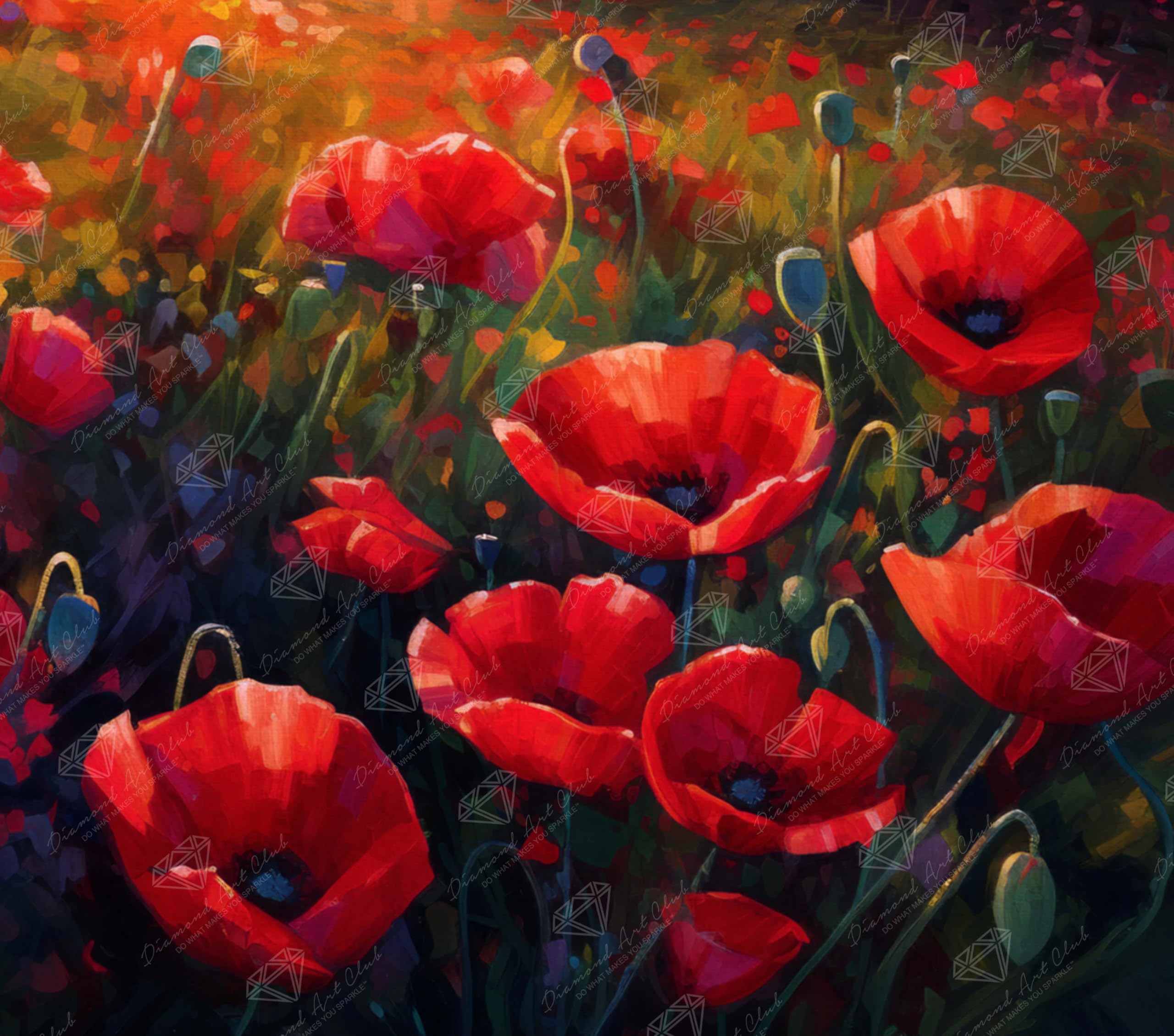 Amazon.com: DIAMOND ART CLUB Poppy Field Diamond Painting Kit, Fun