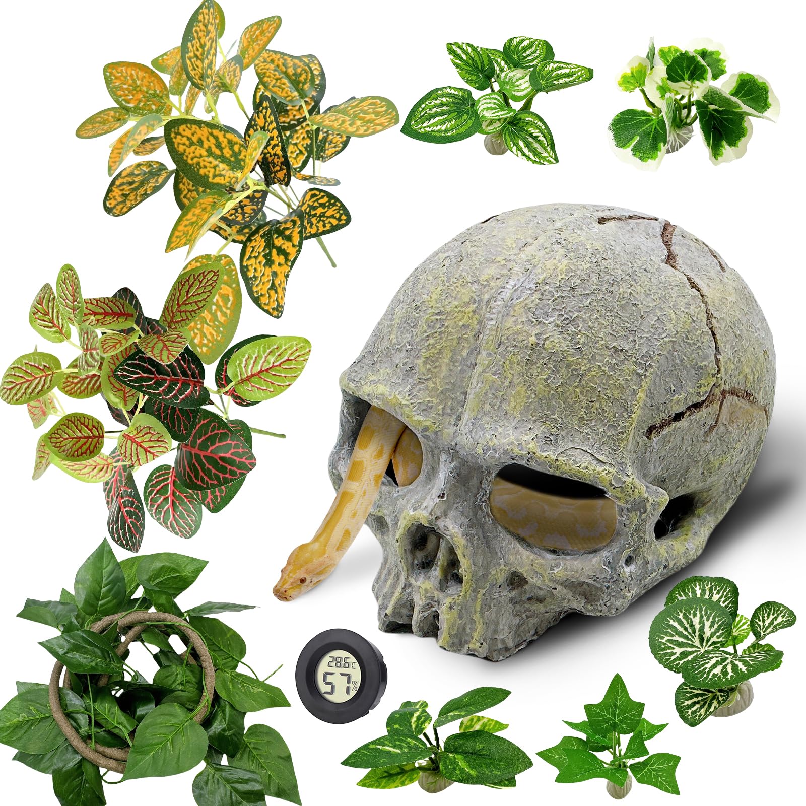 Tfwadmx 11Pcs Human Skull Decor with Plants, Snake Hide, Gecko Tank Accessories, Resin Skull with Climbing Vines Reptile Terrarium Tank Decor for