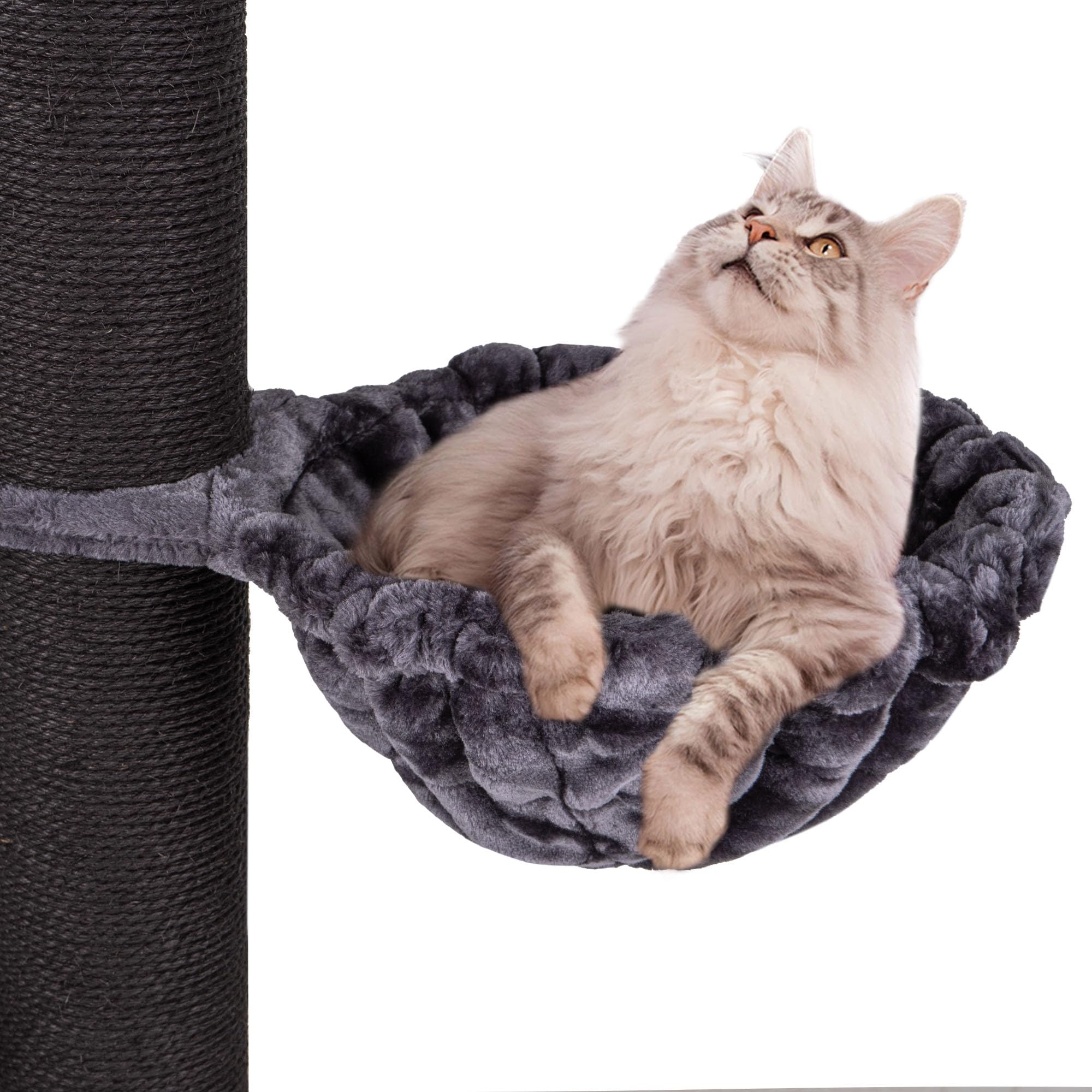 HAPPYPET Universal XXL Liegemulde für Kratzbaum Ø 45 cm - Schlafmulde für große Katzen, Maine Coon, Stabil bis 20 kg Traglast, Hängematte, Katzenliege, Katzenmulde, Anthrazit