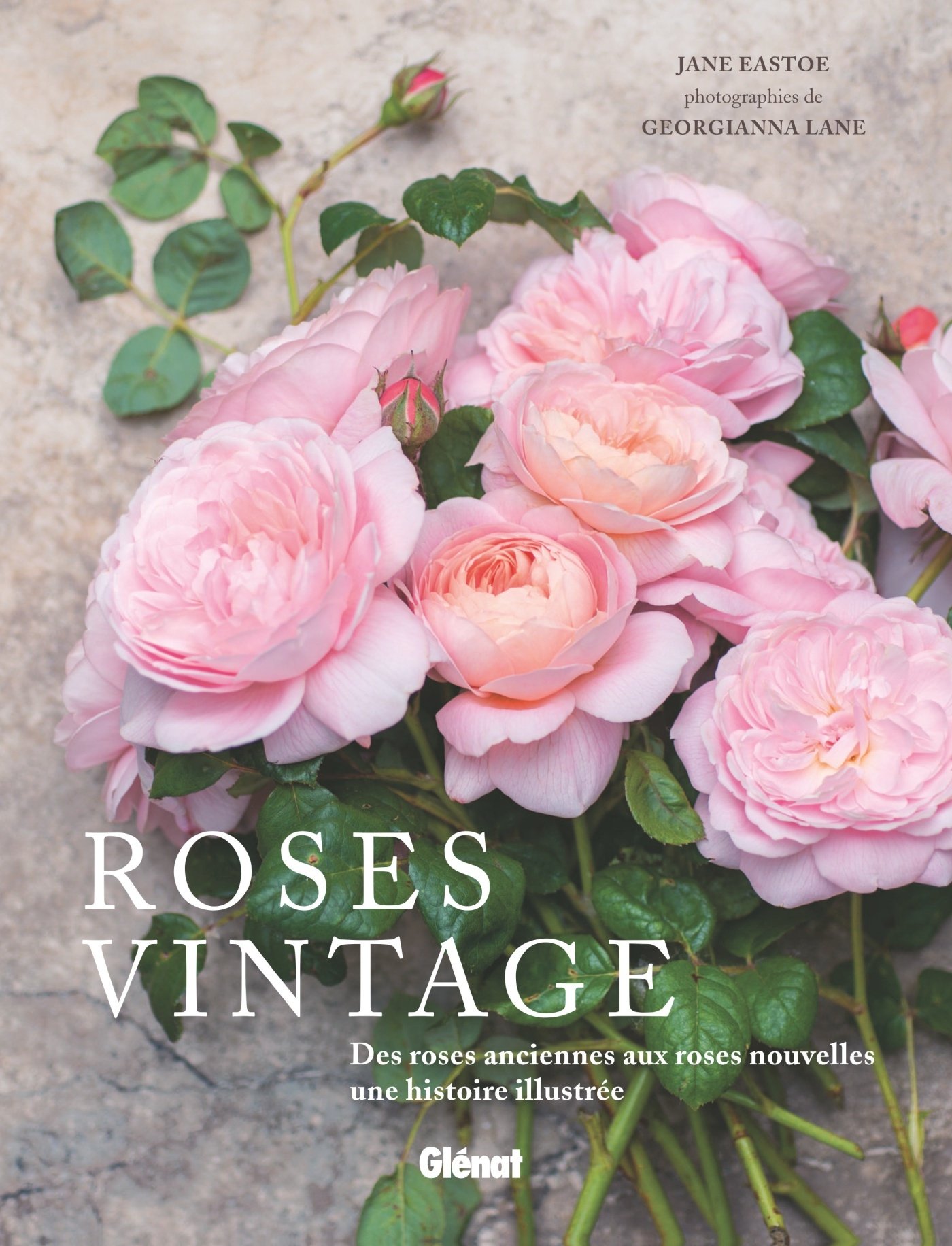 Roses vintage: Des roses anciennes aux roses nouvelles : une histoire illustrée