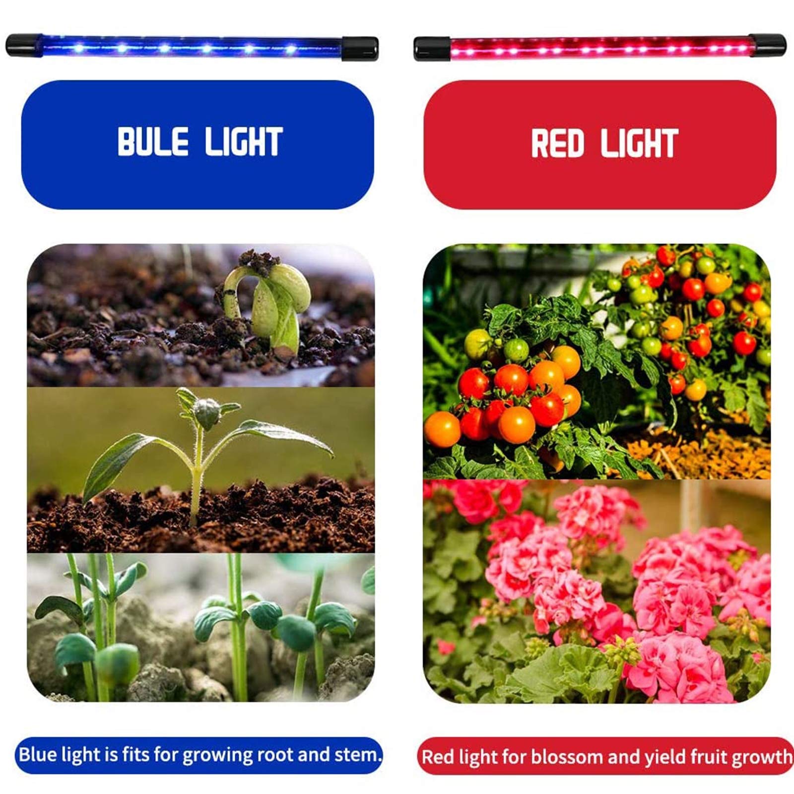 Lampada per Piante, 4 Luci A LED da Terra con Treppiede Regolabile per Piante da Coltivazione Interno, 80LED con Timer Automatico 4H/8H/12H,Spettro Completo, 3 modalità 9 Livelli di Luminosità