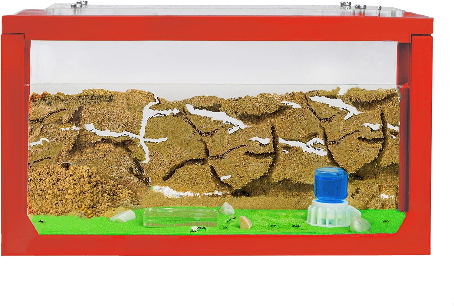 Anthouse.ES - 3D Aquarium-Style Natural Ant Farm - Sand Ant Farm - Complete Kit with Sand and Accessories - Starter Model 20x10x10 cm - Red Color