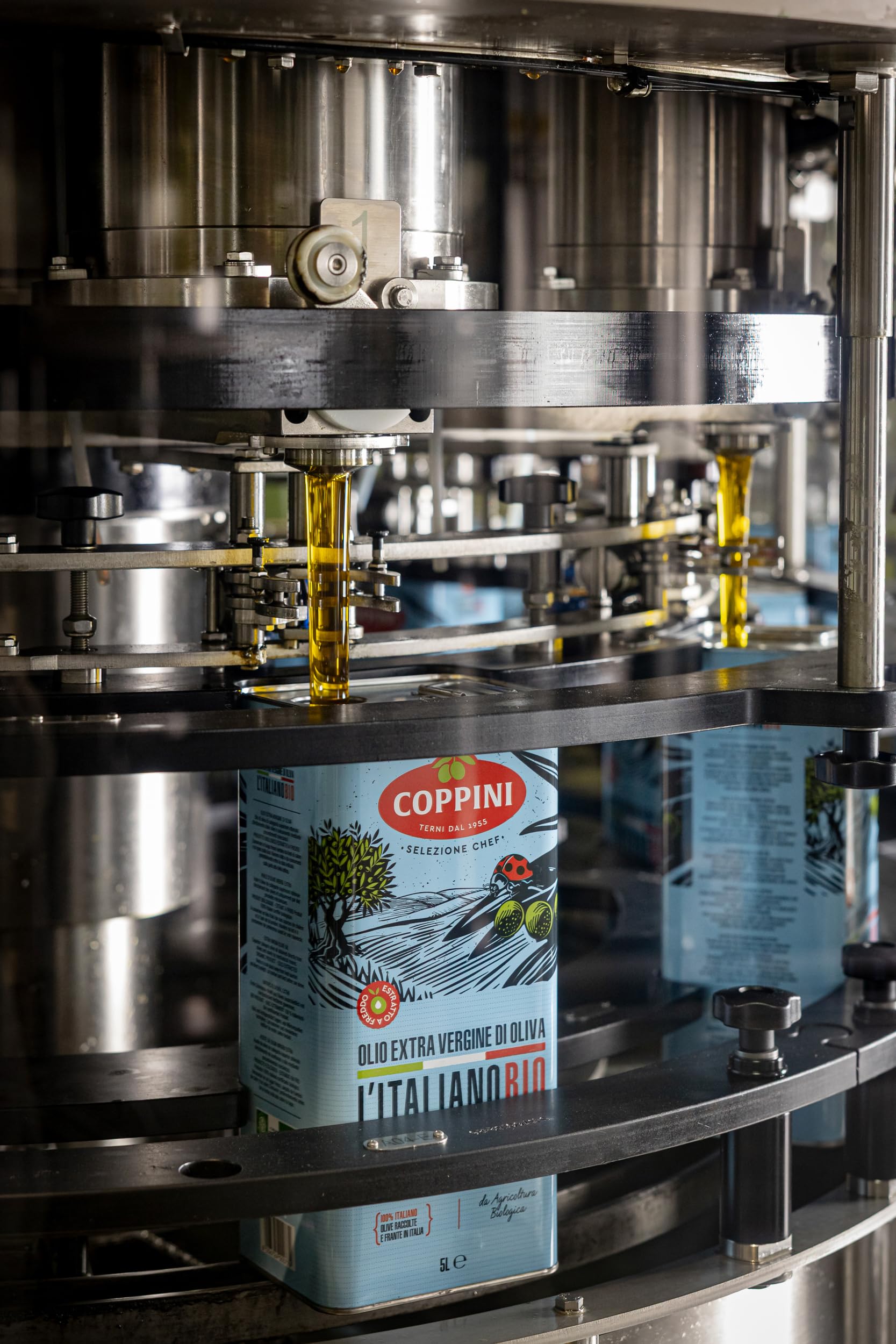 COPPINI TERNI Olio Extra vergine di Oliva Coppini Biologico Italiano - 5 L
