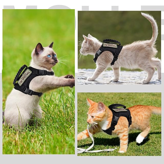 Foto 2 de 6 de Arnés táctico para Gatos para Caminar a Prueba de Escapes