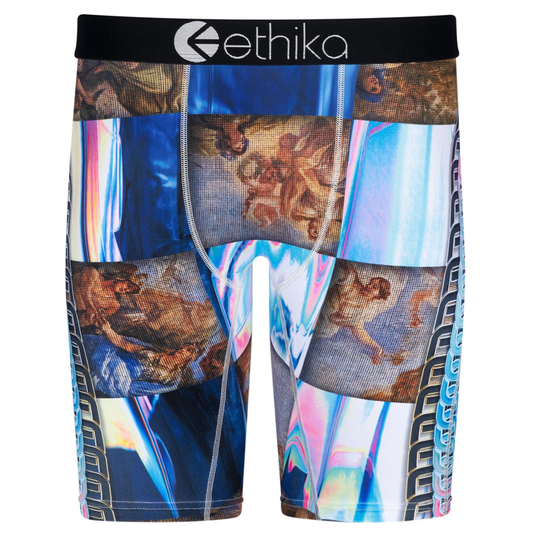 Ethika Mens Staple Boxer Brief HolE Grail