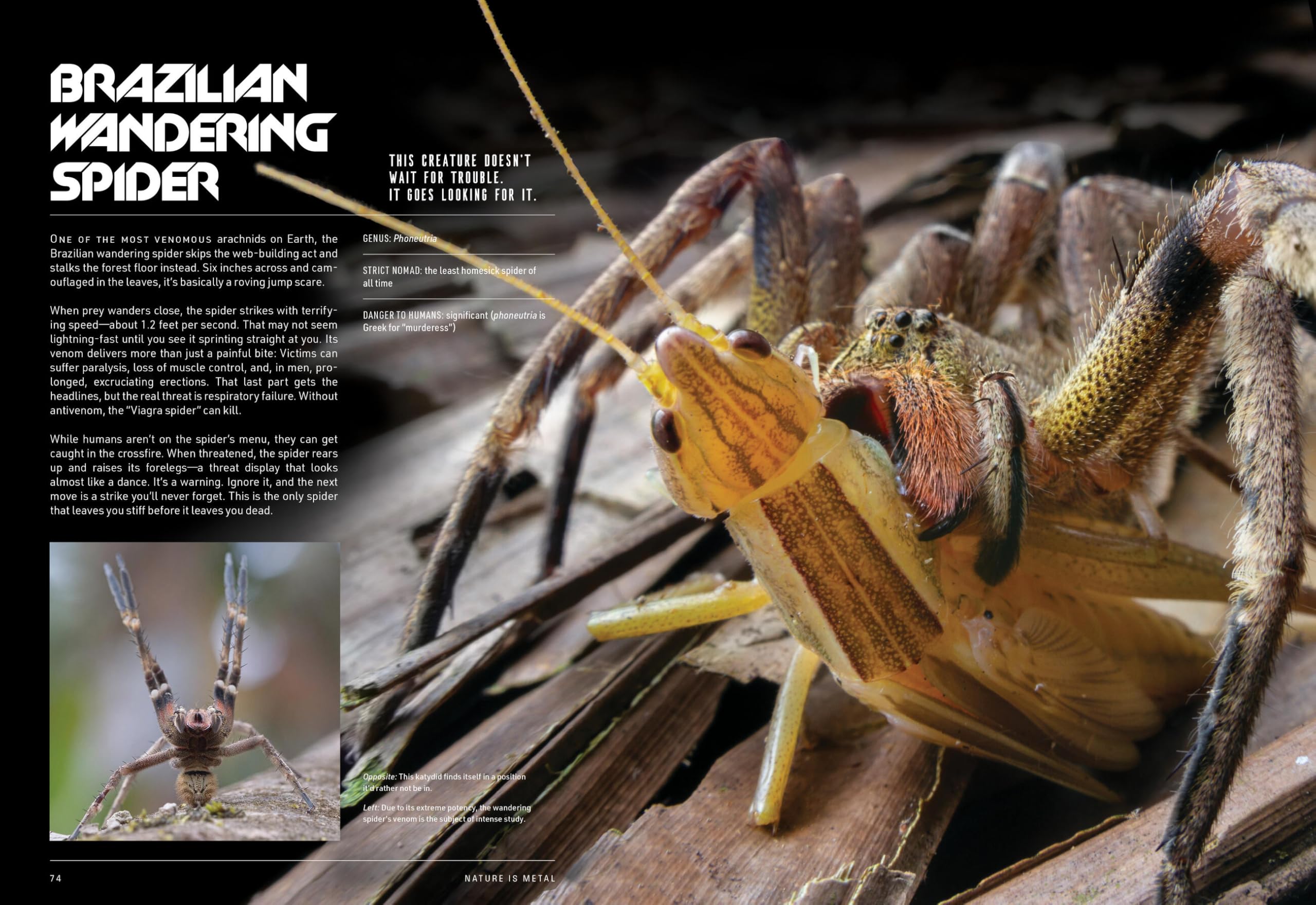 Nature Is Metal: It's a Life-Eats-Life World