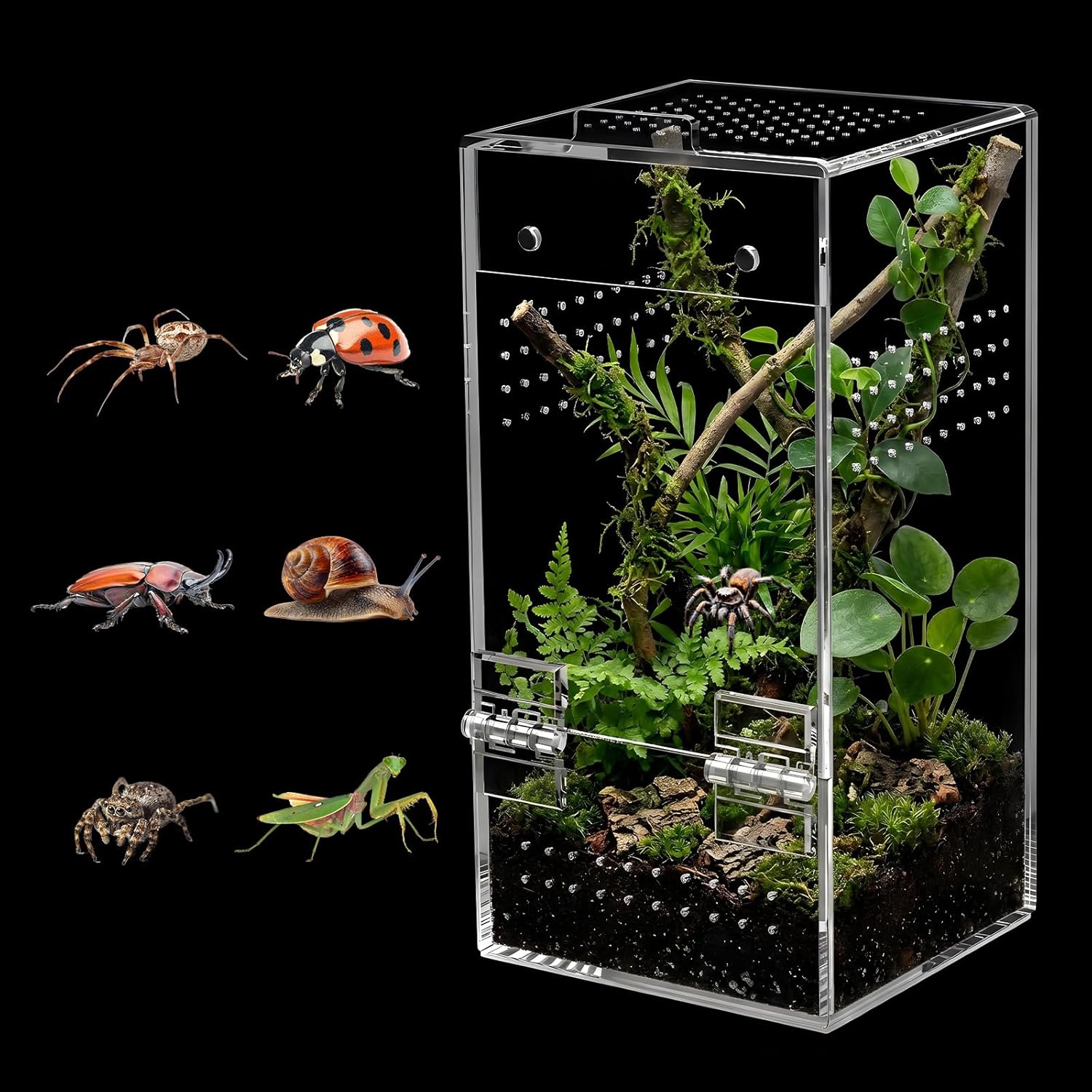 Acrylic Jumping Spider Enclosure