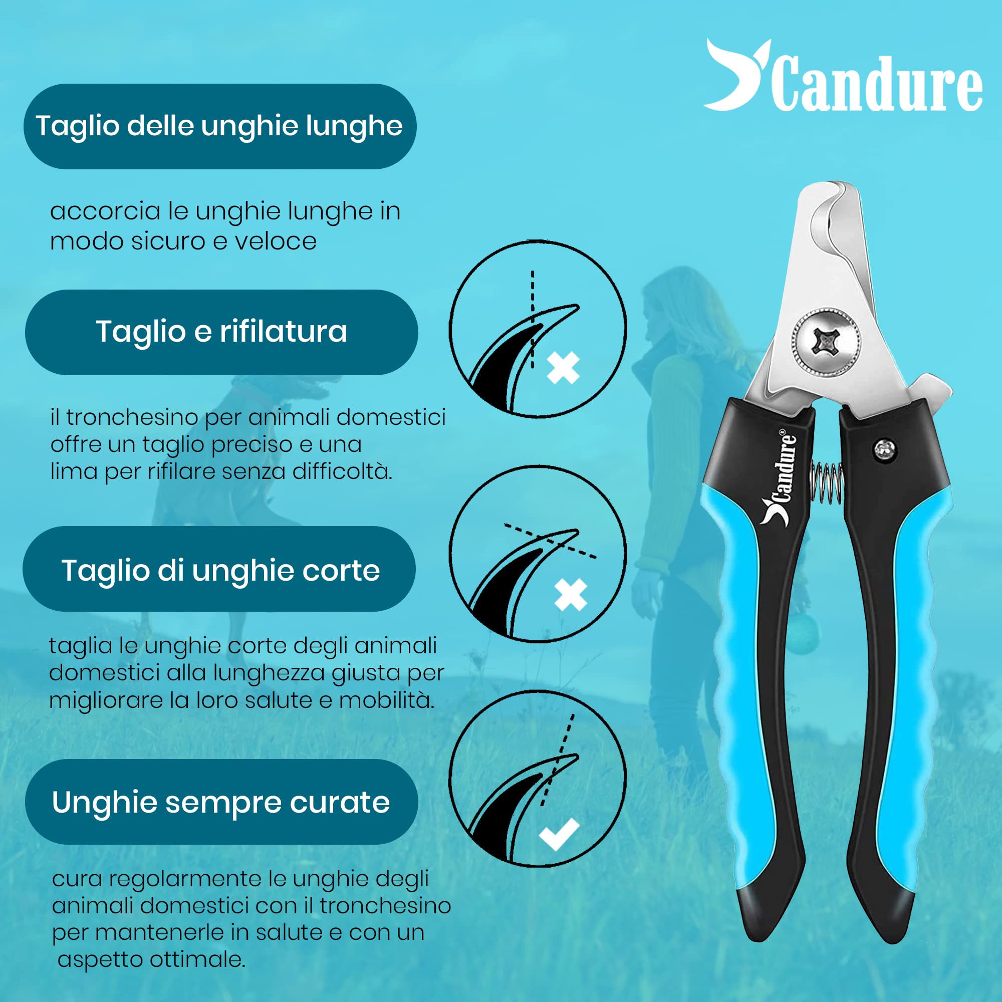 CANDURE Tagliaunghie Cane e Gatto con Guardia per Protezione Cani - Acciaio Inossidabile Tagliaunghie Gatto Professionale per Veterinaria e Uso Personale (Blu, Grande a Medio)