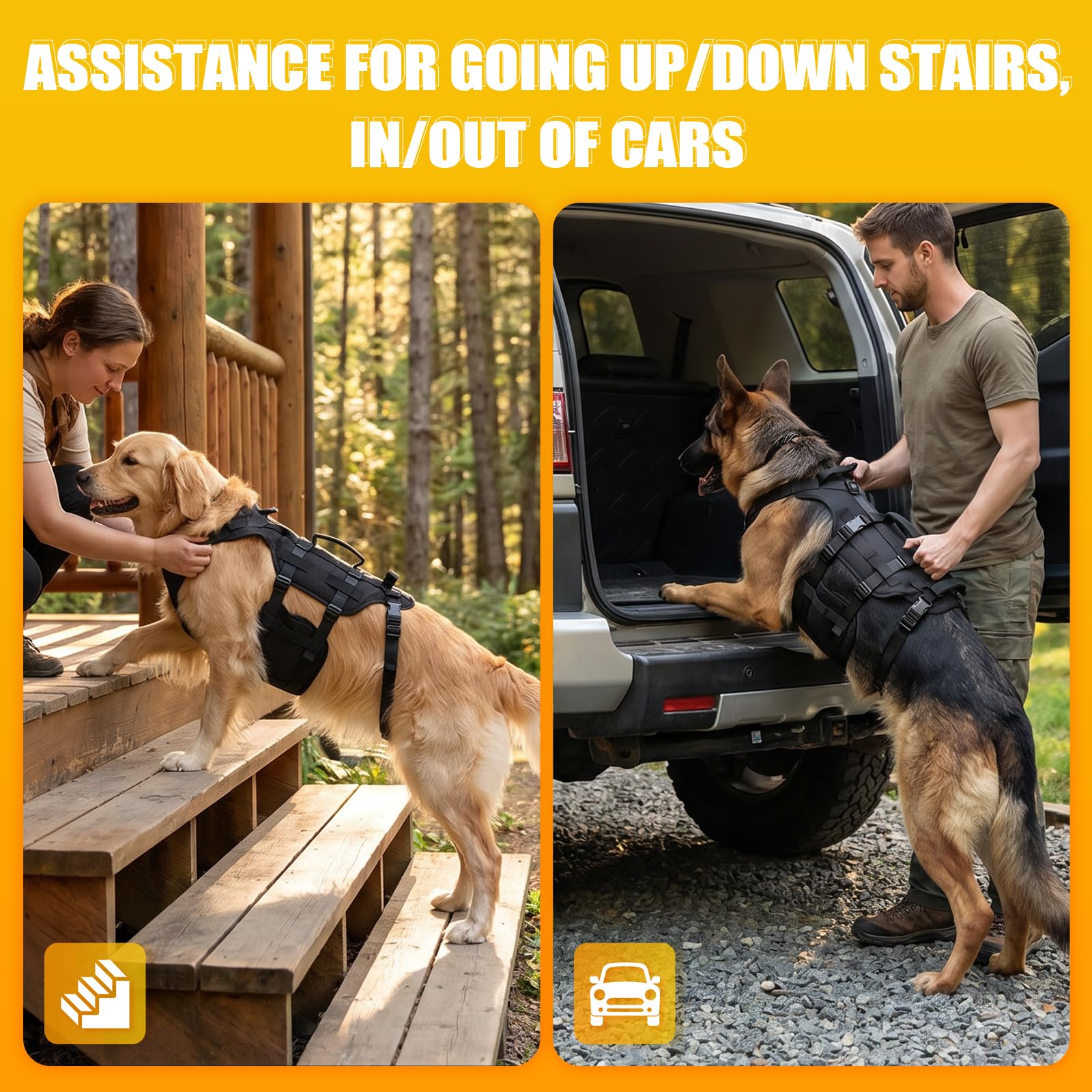 Arnés para Perros, Ajustable con 3 Asas, Ayuda para pasear a Perros, arnés para adiestramiento, Paseos y Actividades al Aire Libre, Negro, Talla M