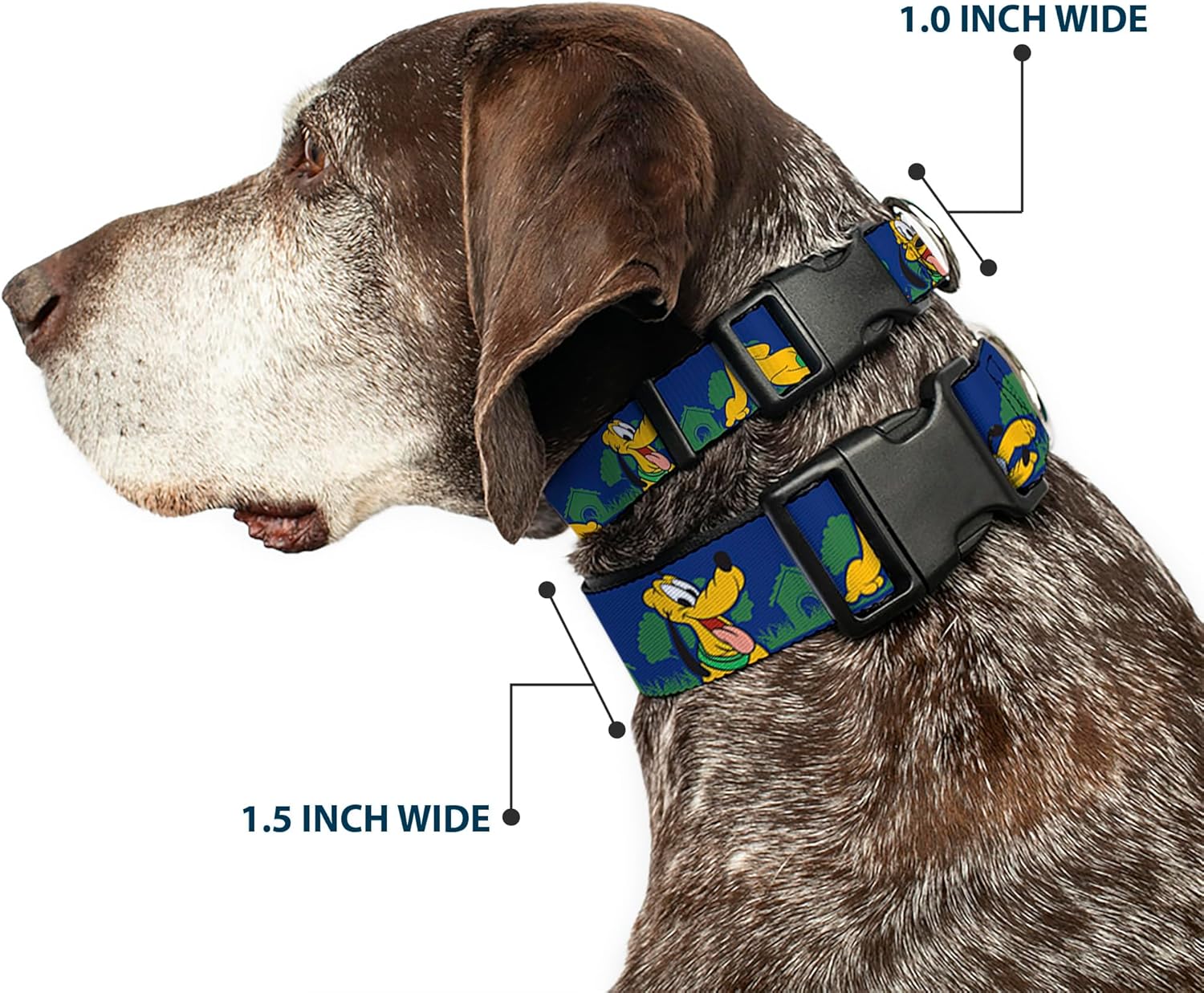 Buckle-Down "Pluto 4-Poses/Landscape" Plastic Clip Collar, Blue/Green, 1.5" Wide-Fits 16-23" Neck-Medium