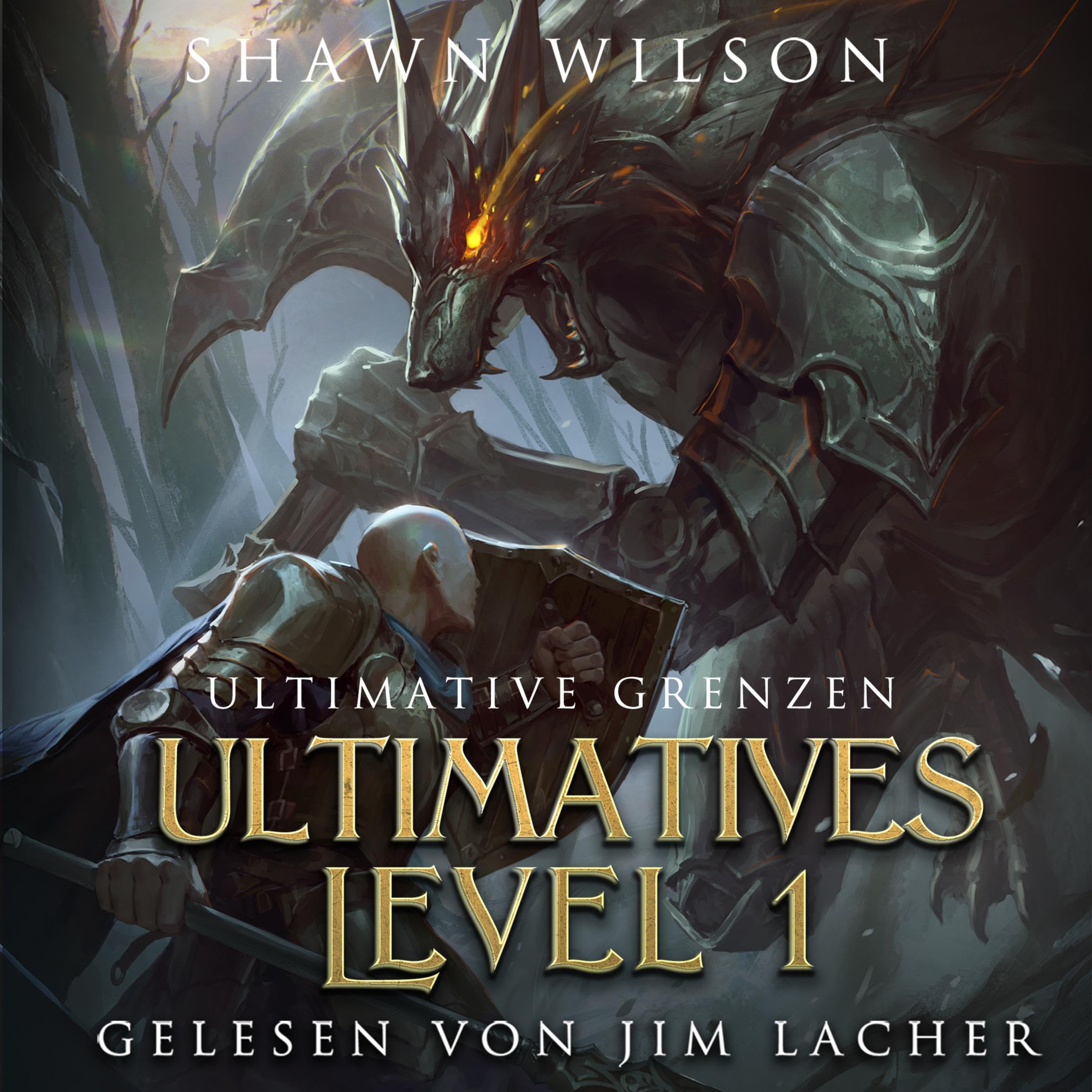 Cover art for Ultimative Grenzen
