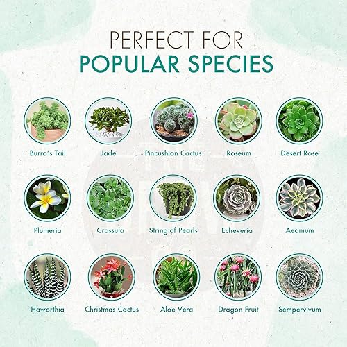 Miniatura 3 de The Grow Co Alimento para plantas de suculentas y cactus, fórmula suave de larga duración, fertilizante de liberación lenta (alternativa líquida)