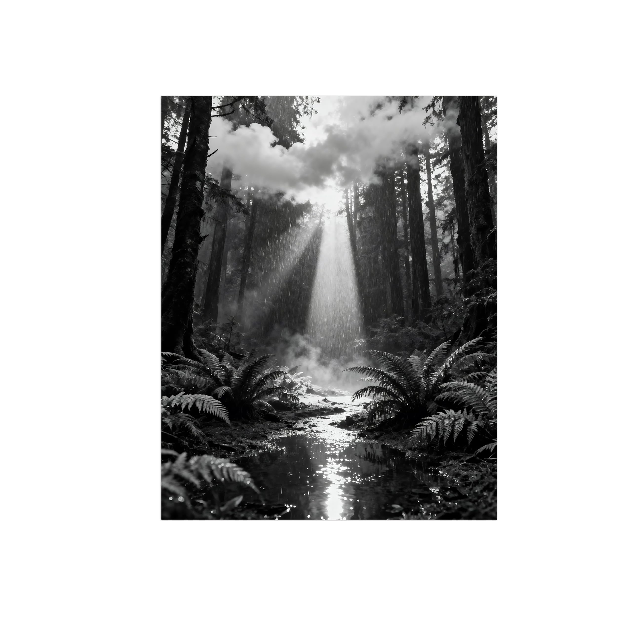Black White Landscape Wall Art. Tree Clouds. Picture 90x117cm Framed