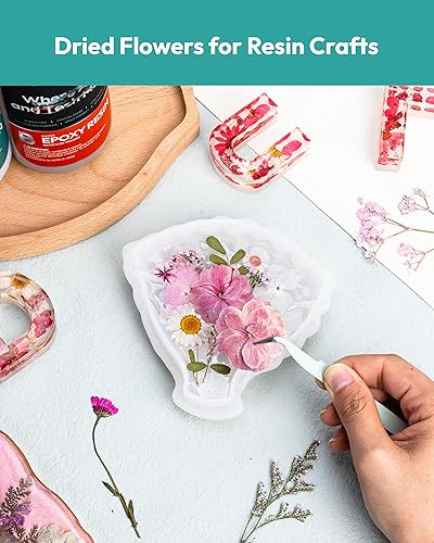 Vista 39 de Resiners - Flores secas, 100 piezas de flores prensadas para manualidades, color amarillo, flores secas naturales, kit de hojas secas