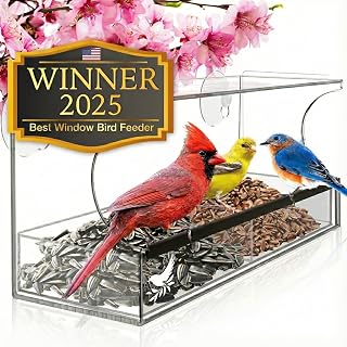 Window Bird Feeder Suction Cups