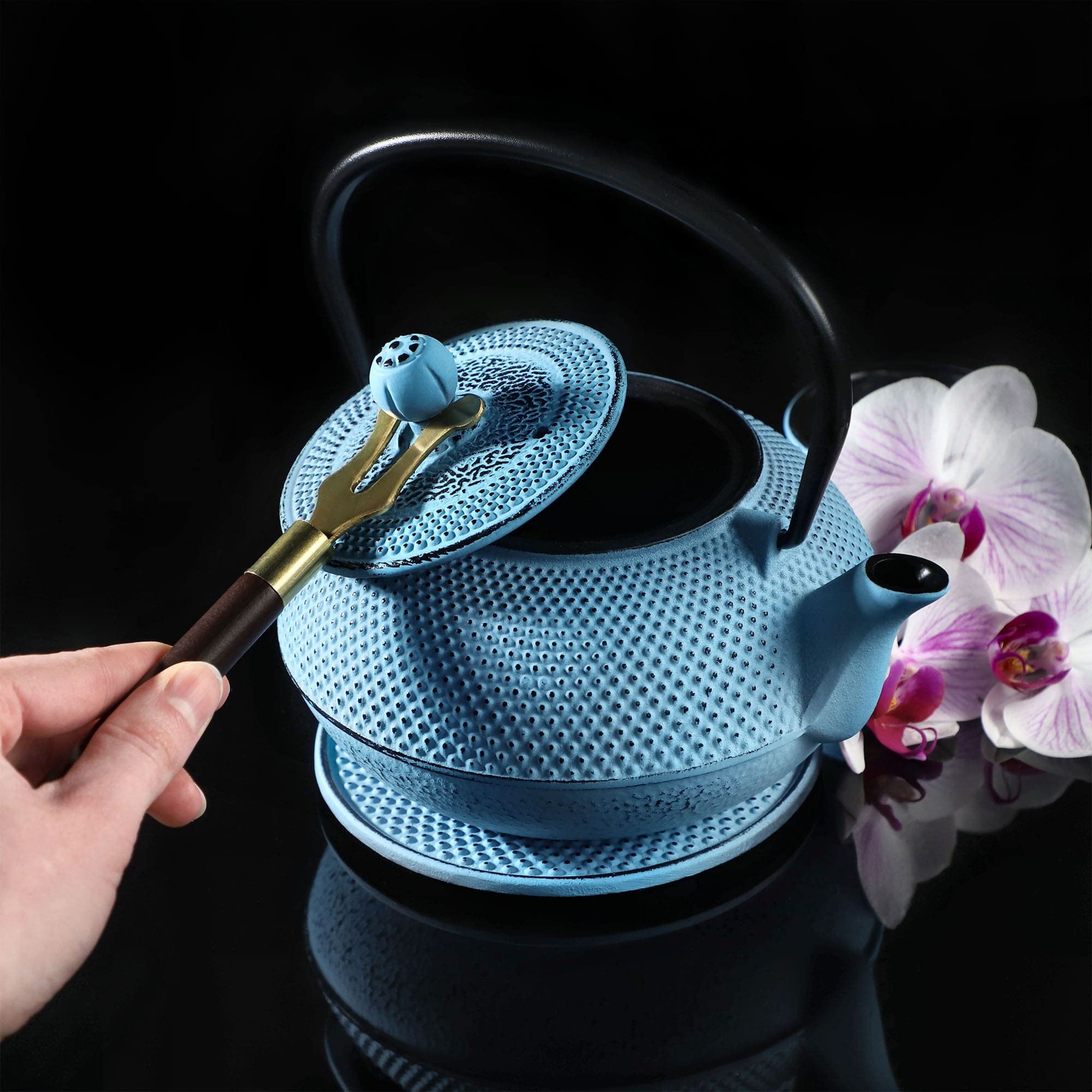 KADAX Tetera japonesa, hervidor de hierro fundido de 850 ml, jarra de 15 cm con filtro de malla y mango resistente, juego de té estilo japonés, jarra de hierro tradicional (azul)