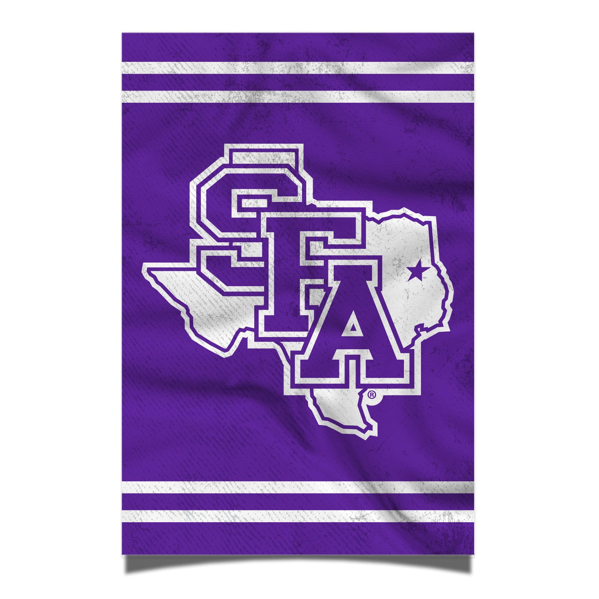 Desert Cactus Stephen F. Austin State University Poster Lumberjacks SFA 11 x 17 Inch Room Office Décor Decoration Official Fan Gear (11x17 inch,