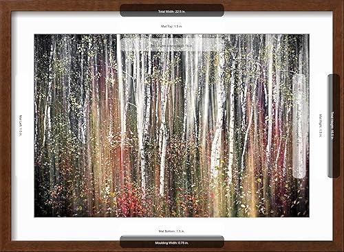 Miniatura 38 de ART.COM Lienzo decorativo para pared, diseño de otoño rosa, de Ursula Abresch, decoración escénica, 18 x 12 pulgadas Lienzo estirado