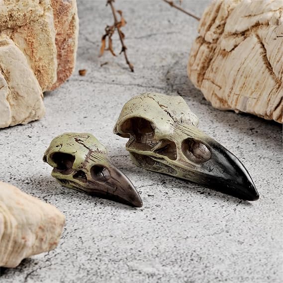 Halloween Raven Skull, Gothic Raven Decor Statue Animal Skull, Fake Bone Decor Crow Necklace Head Jewelry Pendant, Bird Skeleton Mask Crown, Witchy Gift for Men and Women (1 Pack)