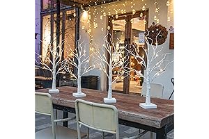 EAMBRITE Indoor and Outdoor Bonsai Tree LED Light