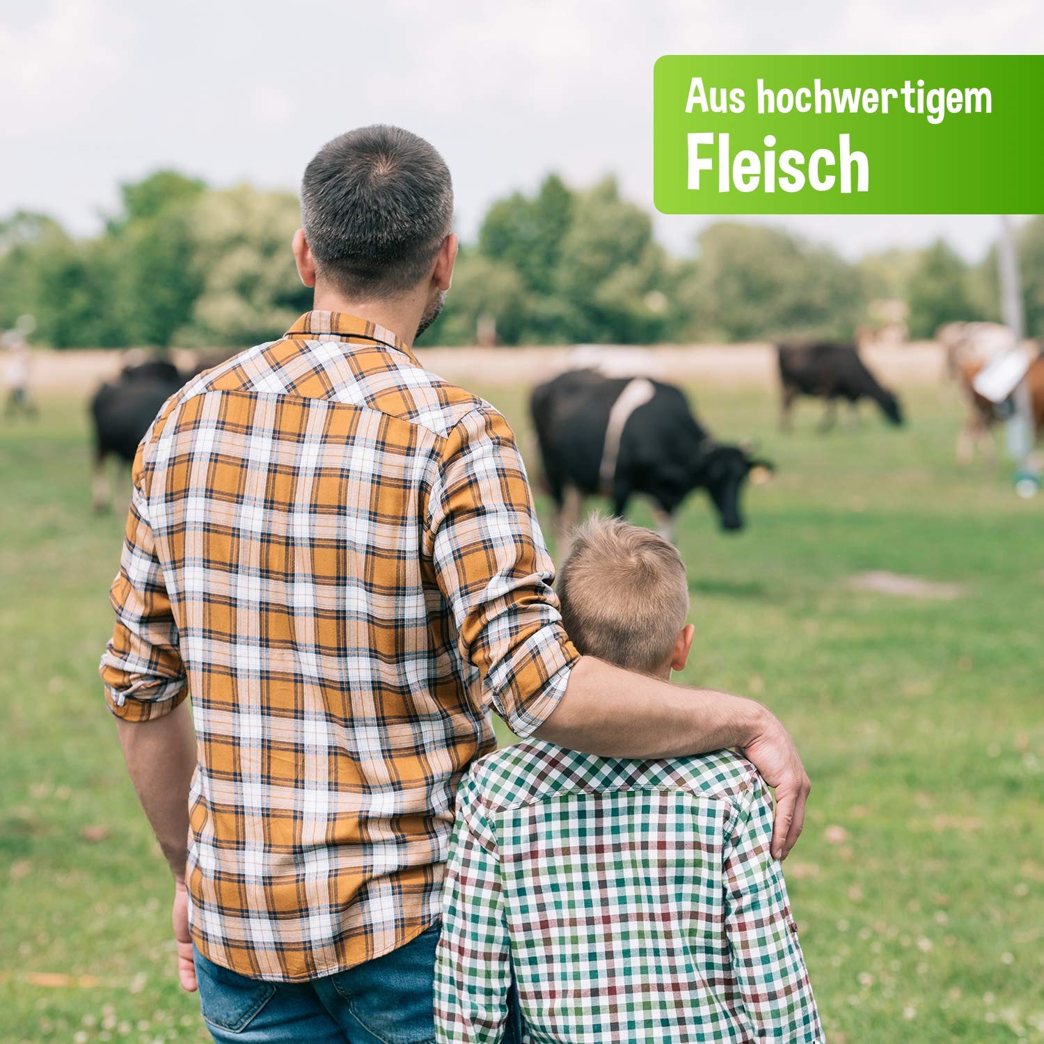 Schecker Nassfutter - 100% Rind PUR - Hundefutter - 24 x 410g - getreidefrei - glutenfrei - ohne Zusatzstoffe
