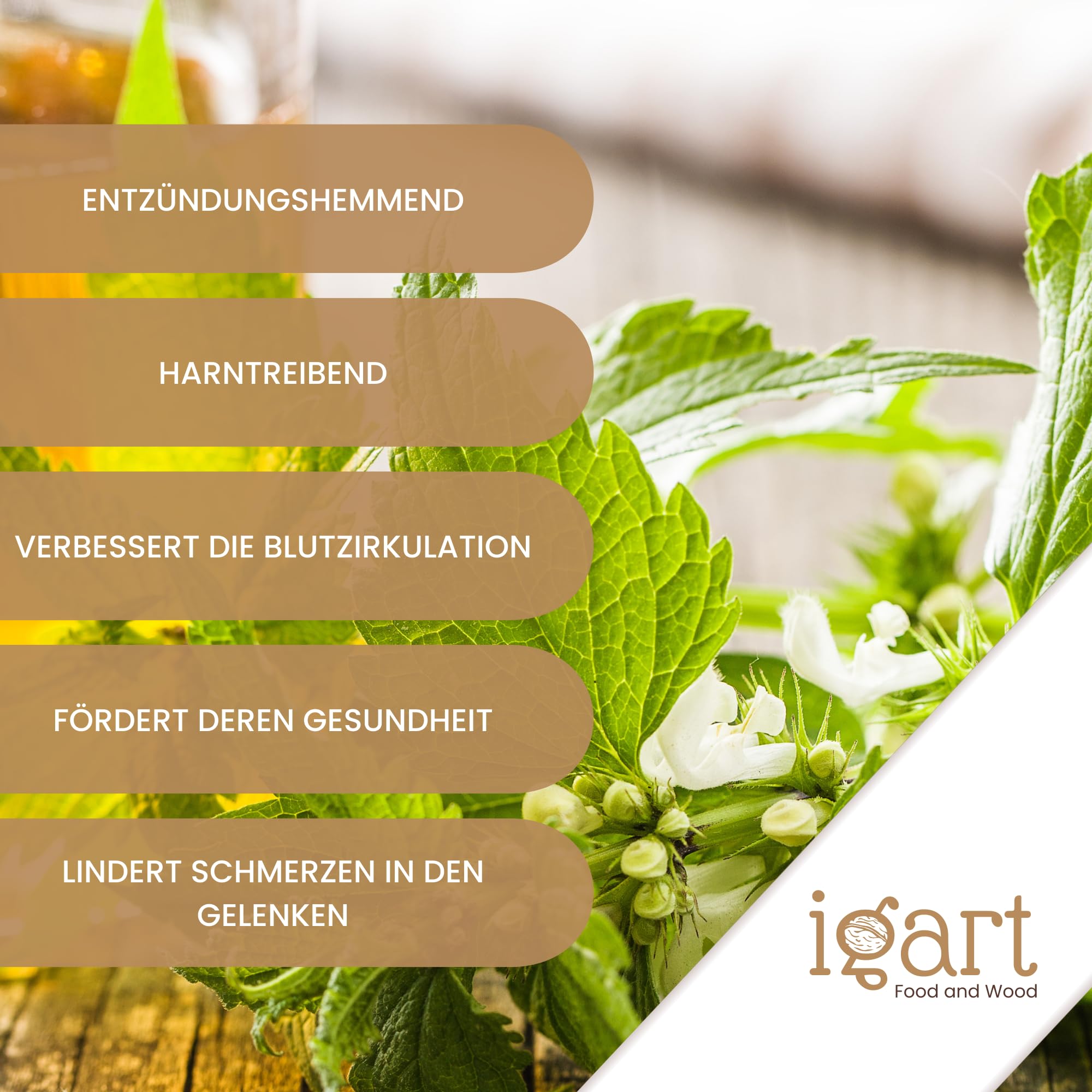 IGART Hojas de Ortiga Cortadas 3000g 3kg | Para Té de Ortiga | Té de Ortiga | Té de Hierbas Suelto | Ortiga para la Eliminación de Líquidos