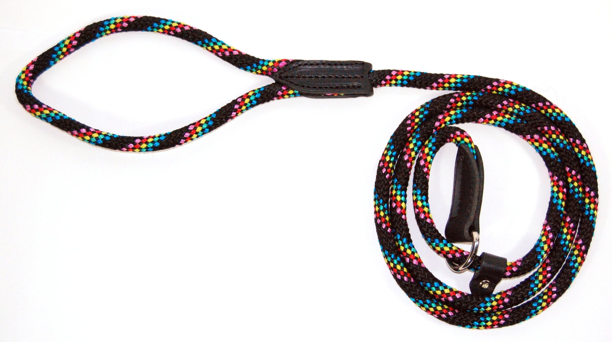 Laisse et collier étrangleur London Rapide Hamilton nylon 6 pieds éducation chien