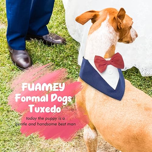 Miniatura 52 de FUAMEY Esmoquin para perro de Halloween para perros pequeños, traje formal para perros, traje de perro, corbata de moño para mascotas, disfraces