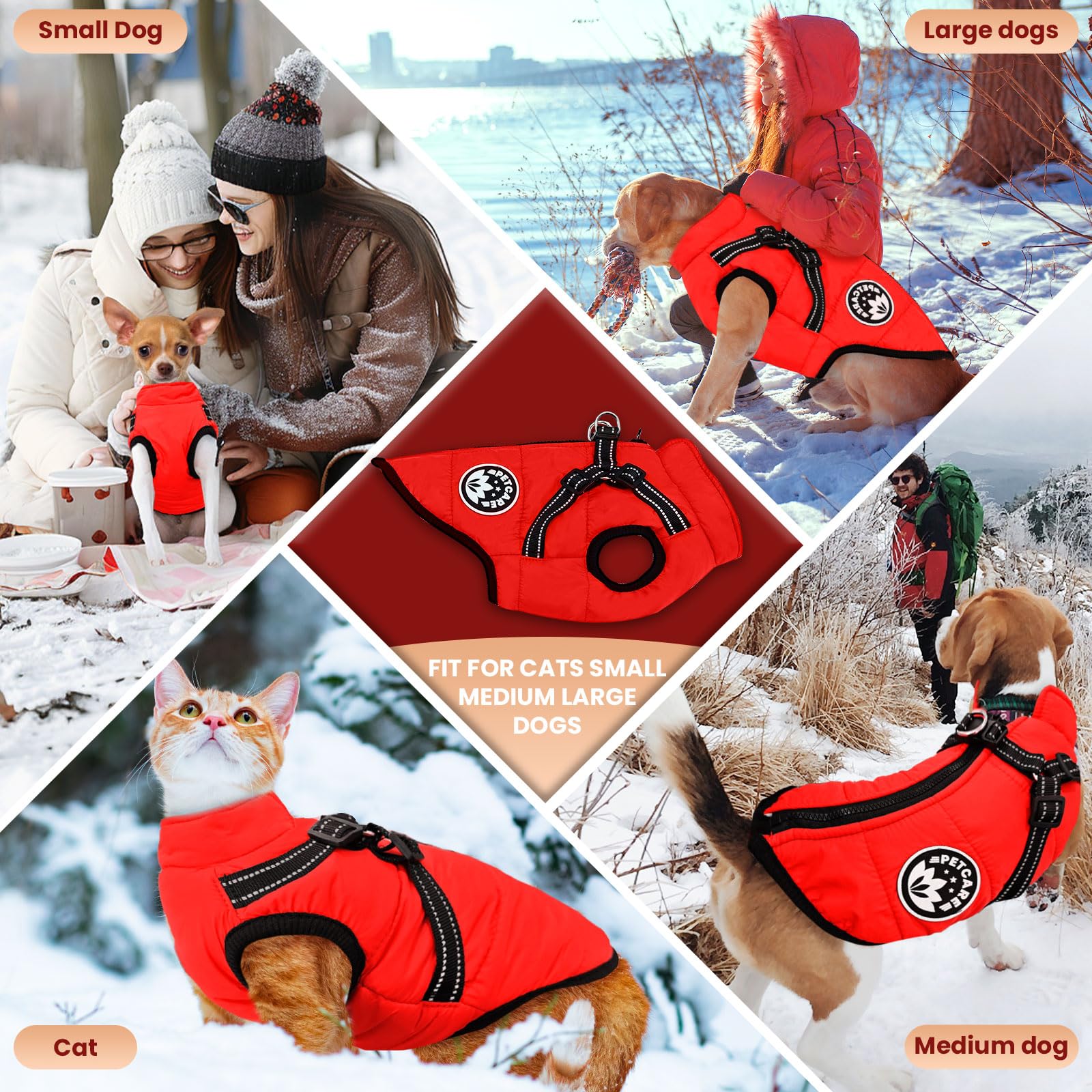 https://m.media-amazon.com/images/I/81ppcSSaw8L.jpg