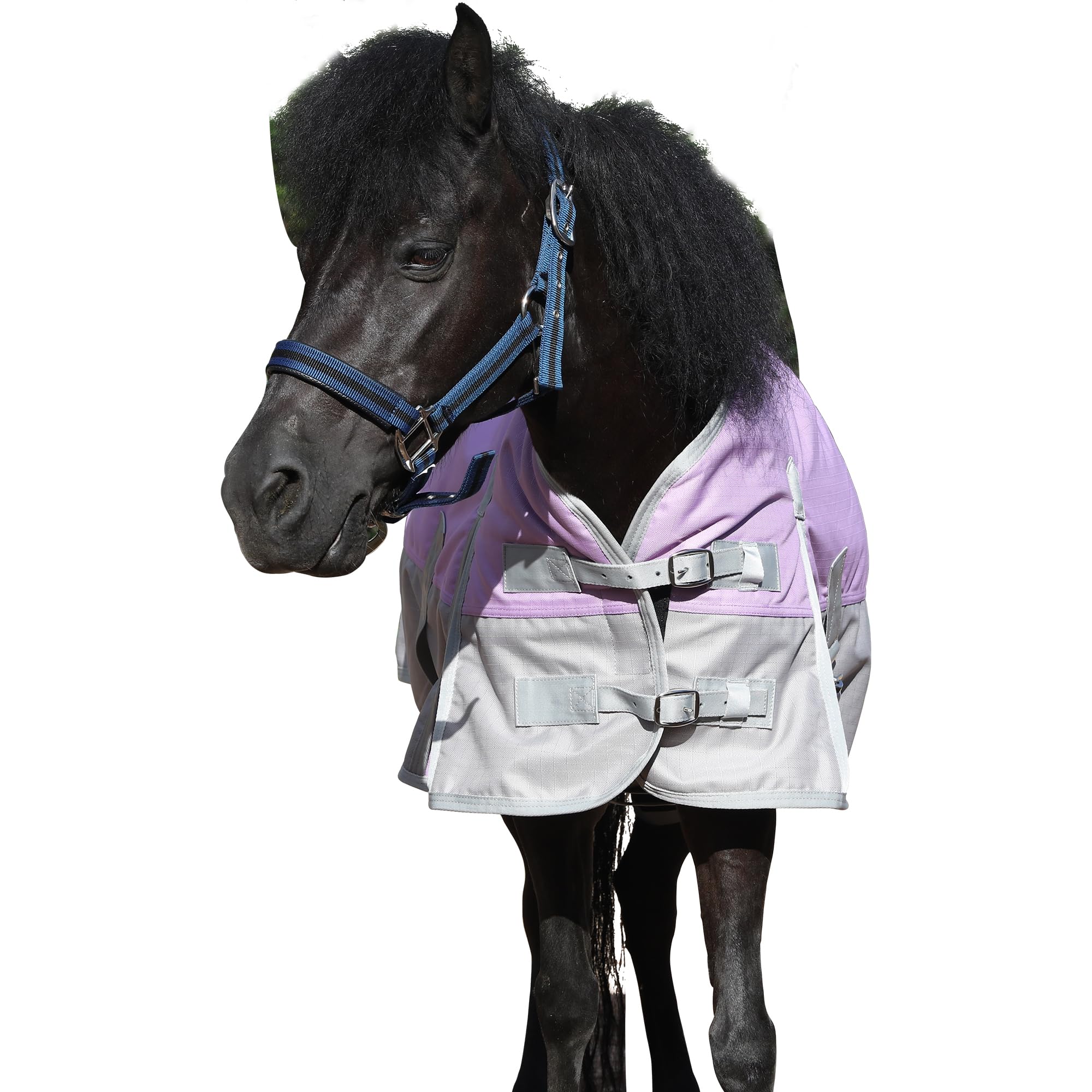 Coperta per pony, 1200D, 200 g/m², impermeabile e traspirante, per pony, shetty, coperta invernale imbottita con cinghie incrociate, collo e chiusura regolabile sul petto